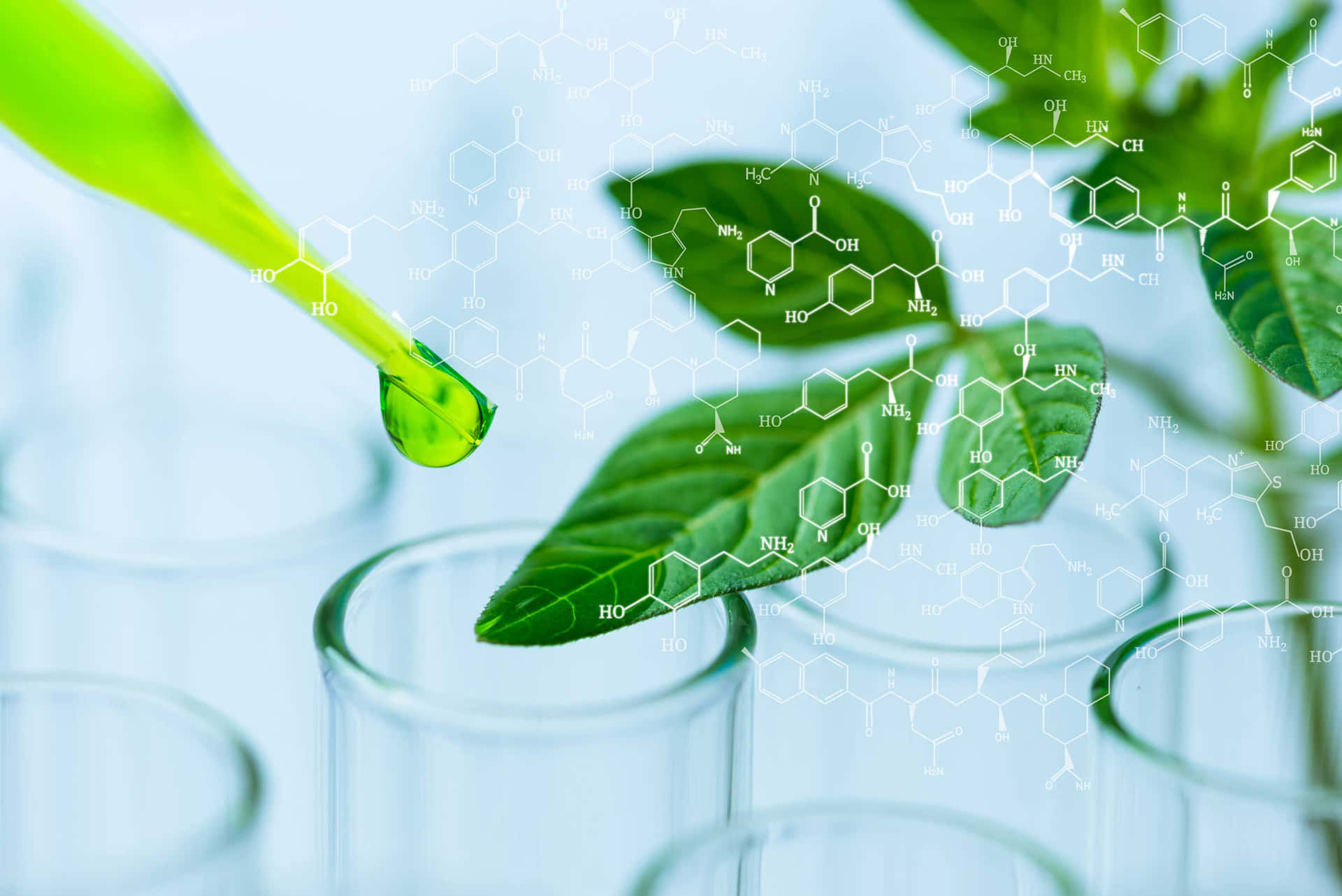 Green Chemistry Wallpaper