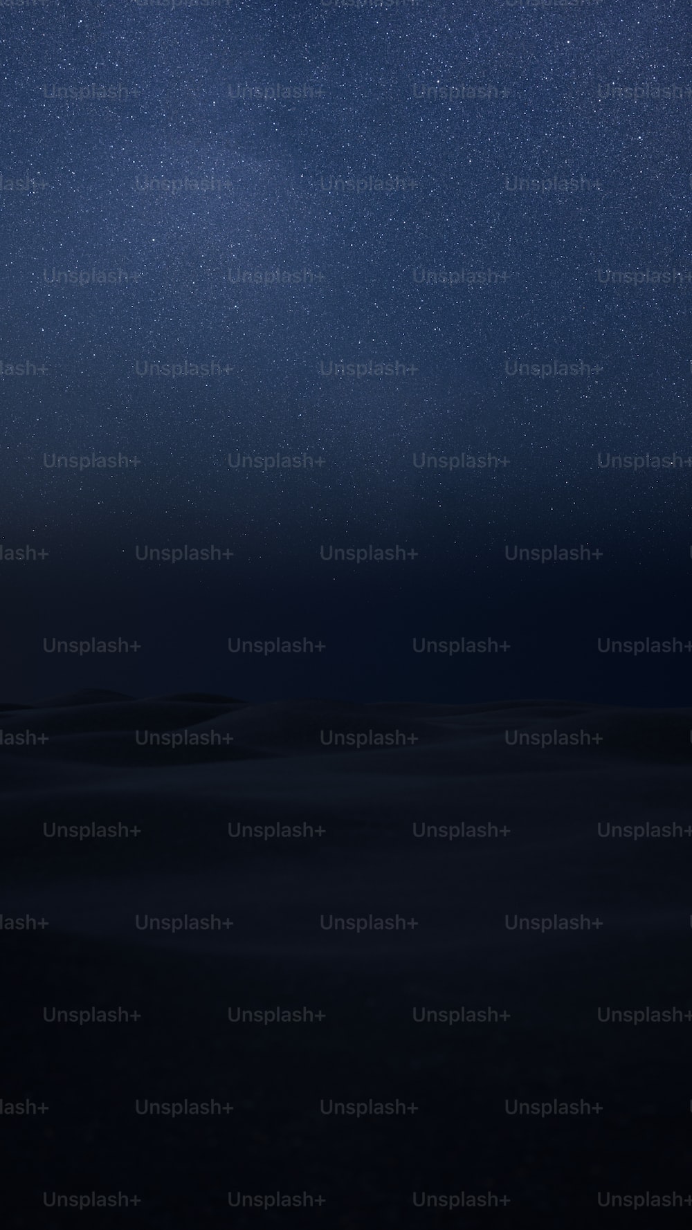 The night sky is full of stars above the ocean photo