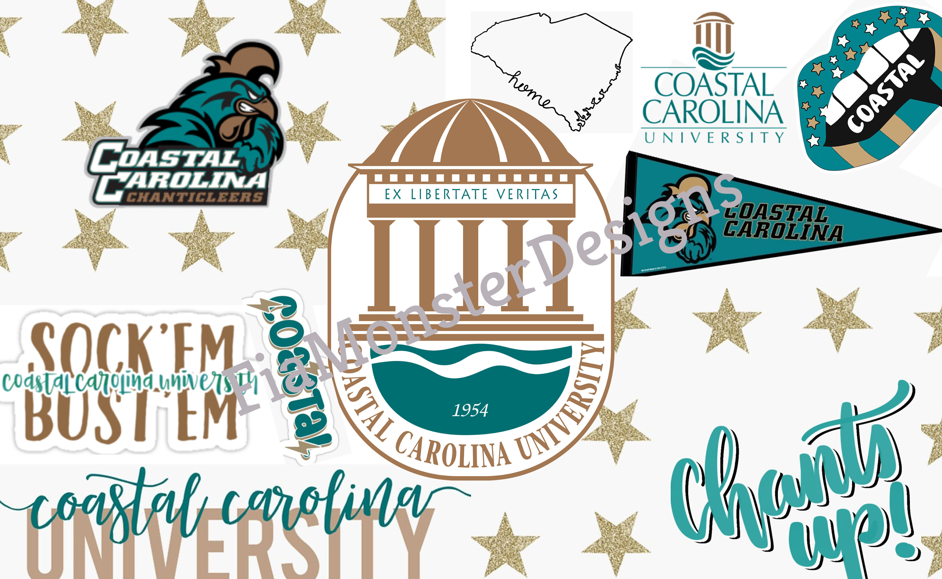 Coastal Carolina University Laptop Wallpaper