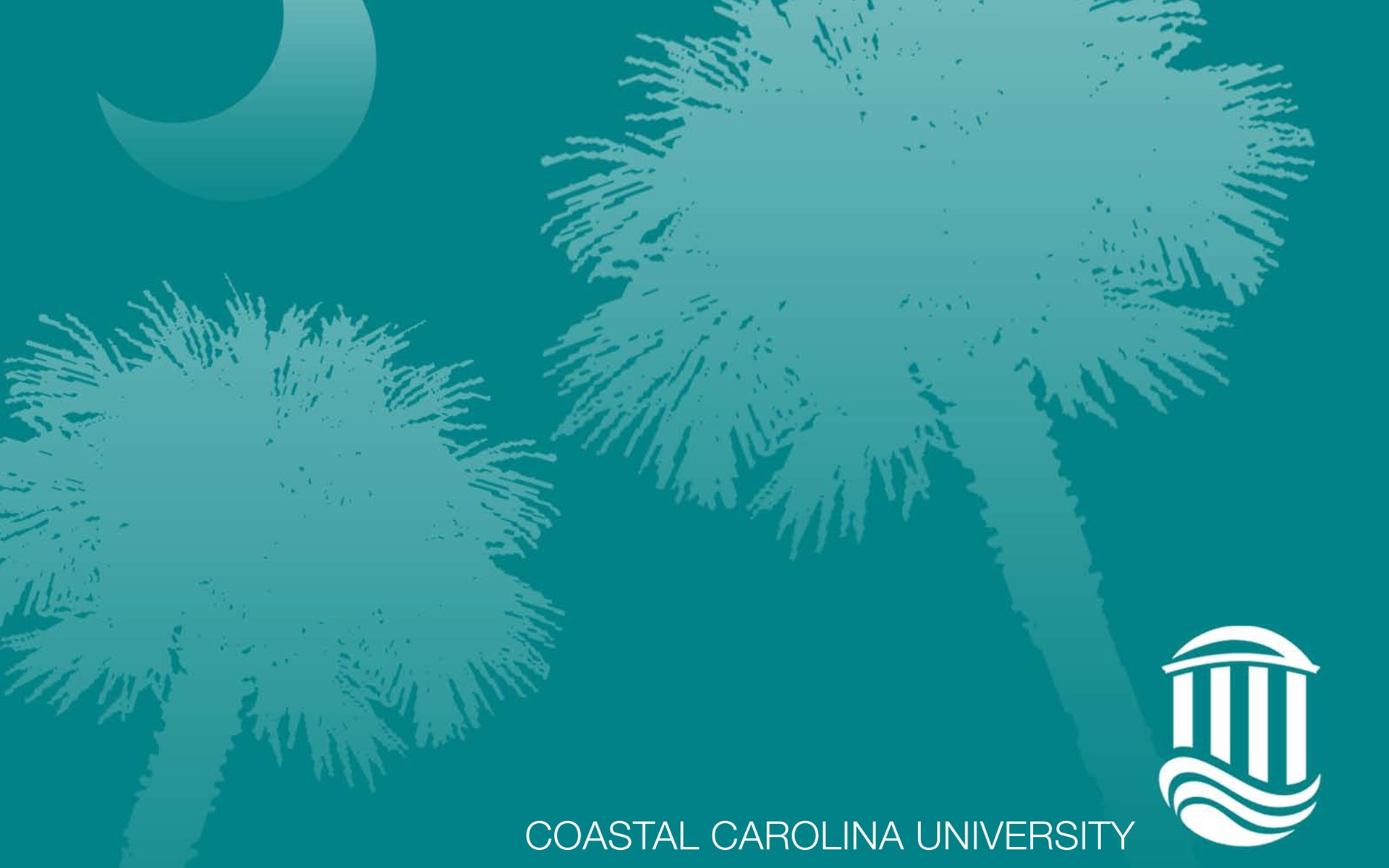 Test. The College Crash Course