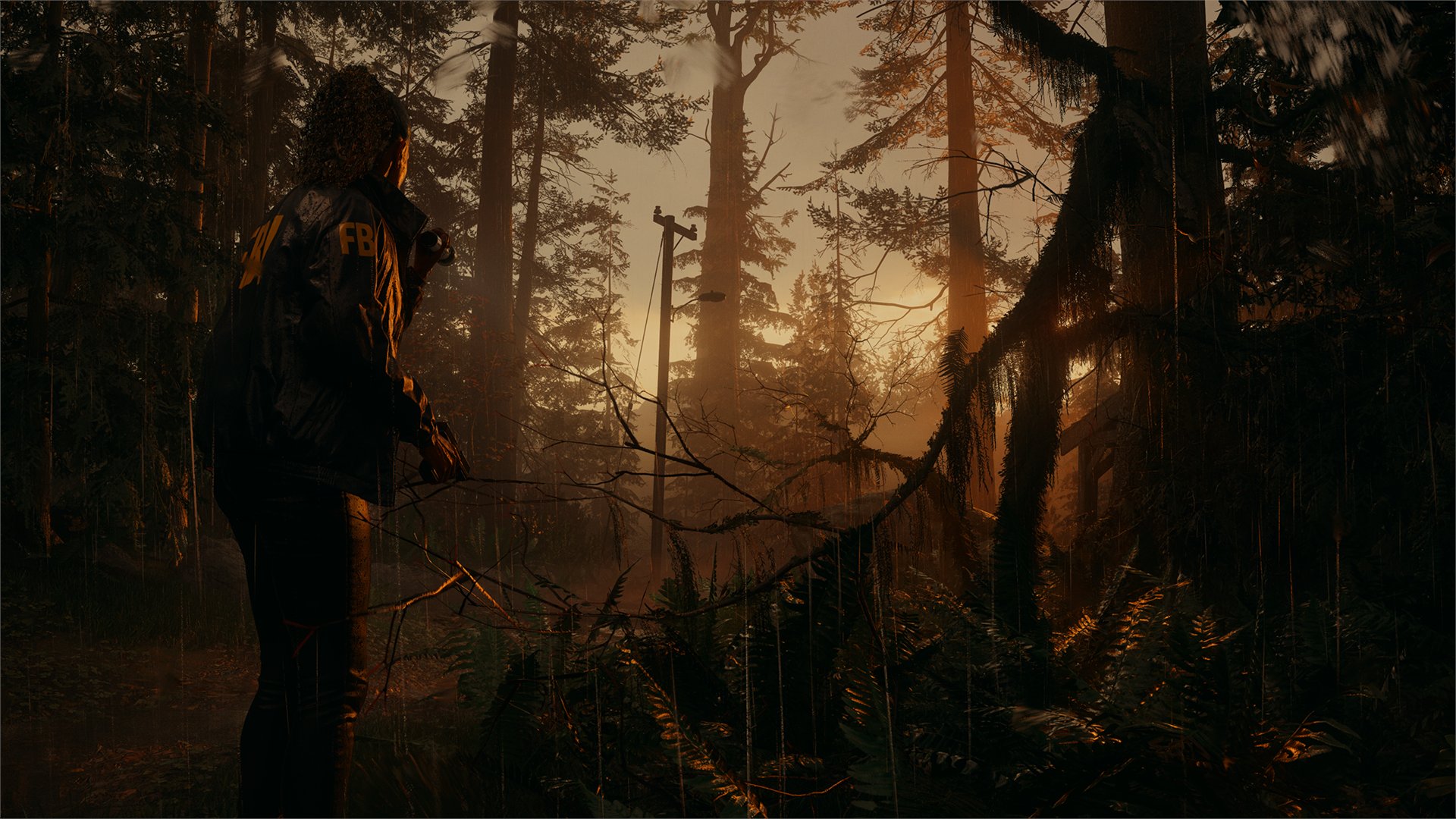 Alan Wake 2 Wake 2 is not just a step, but a leap forward. It takes the foundations of everything we've done before and pushes it as far as