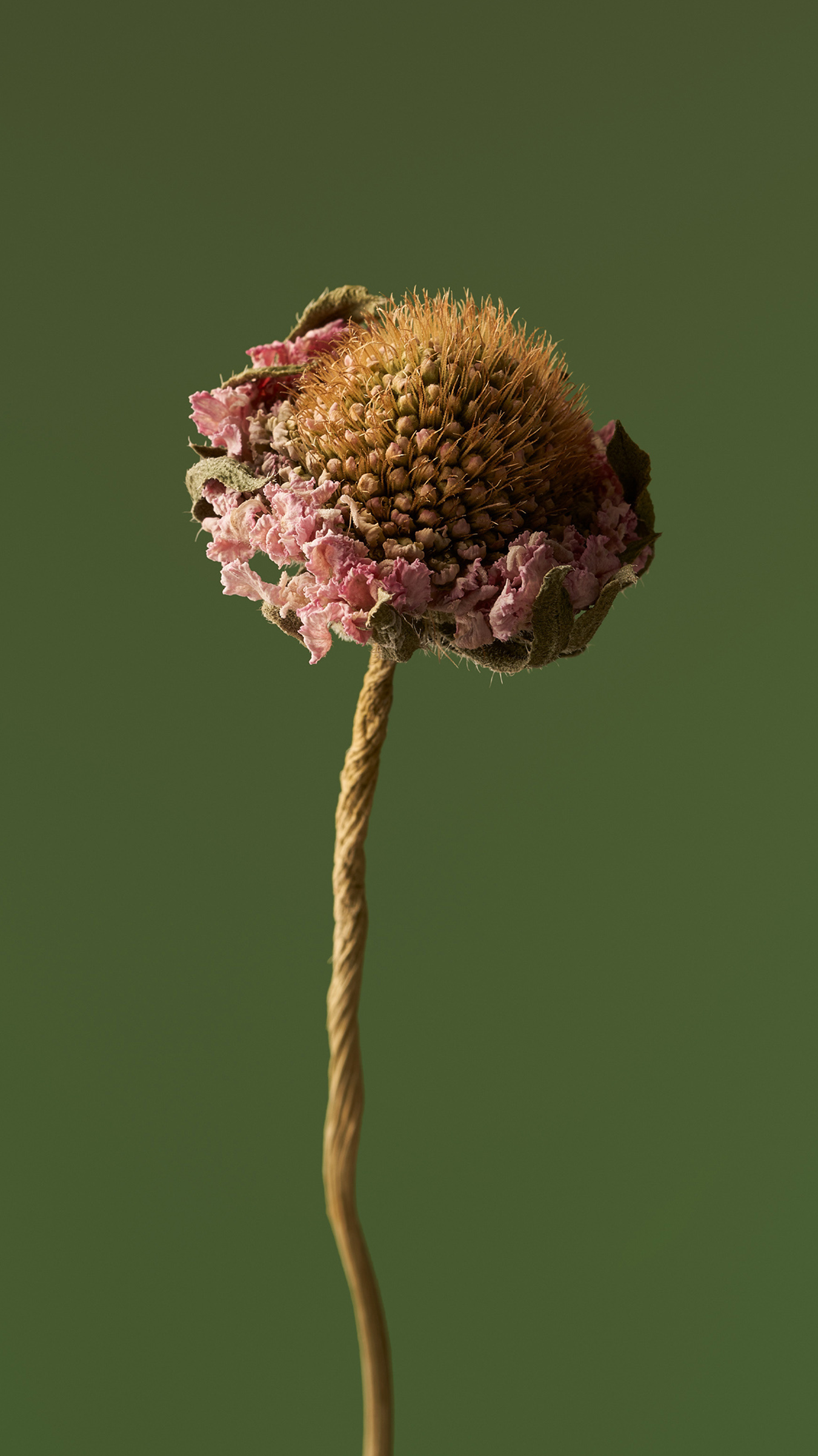 Xiaomi HyperOS wallpaper