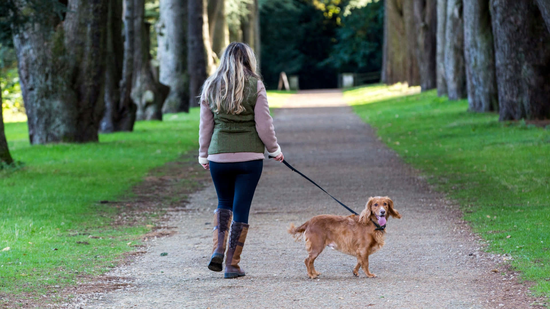 Download Dog Walking At Clumber Park Picture
