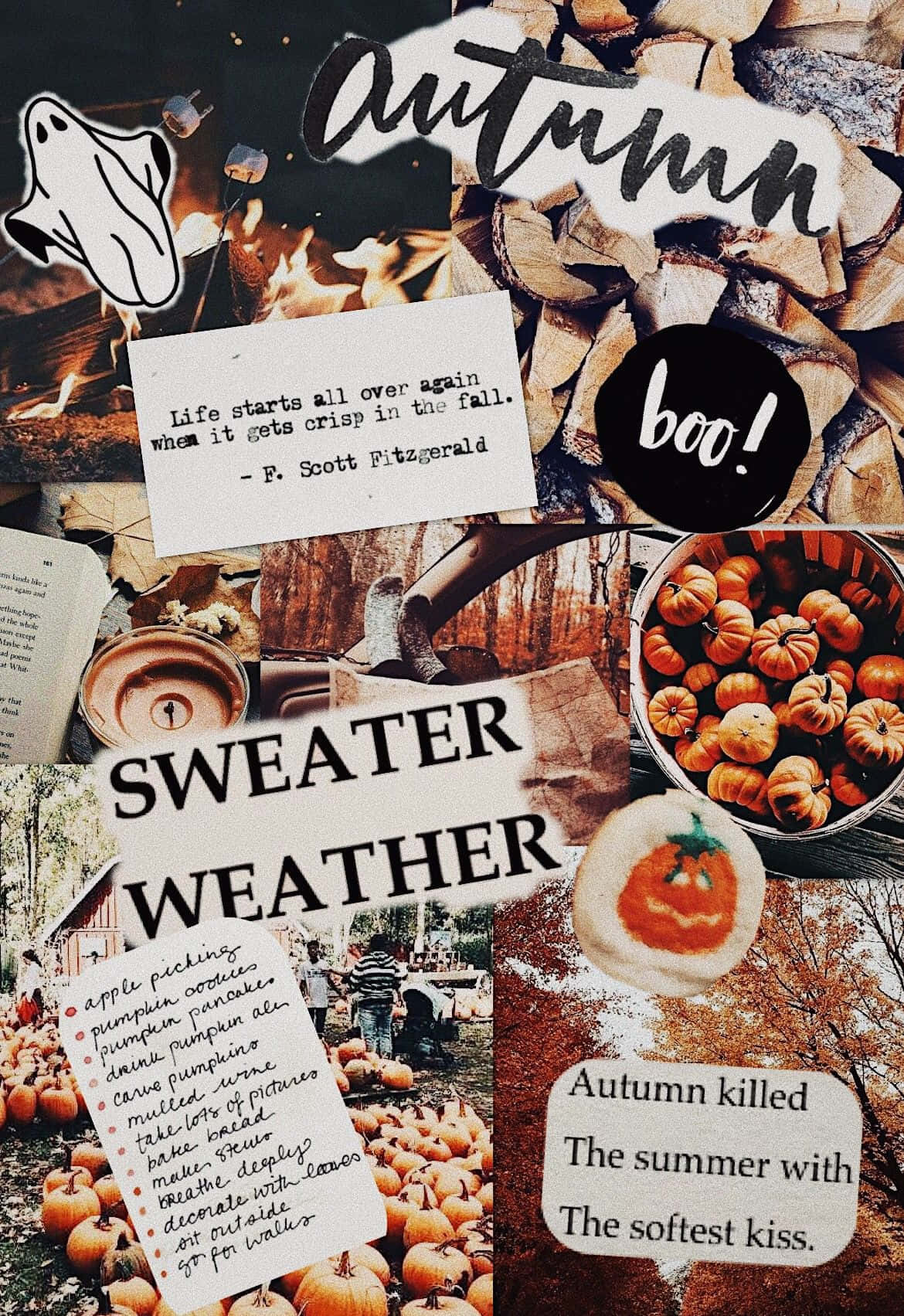 Download Enjoy Life And Take In The Beautiful Colors Of Autumn. Wallpaper