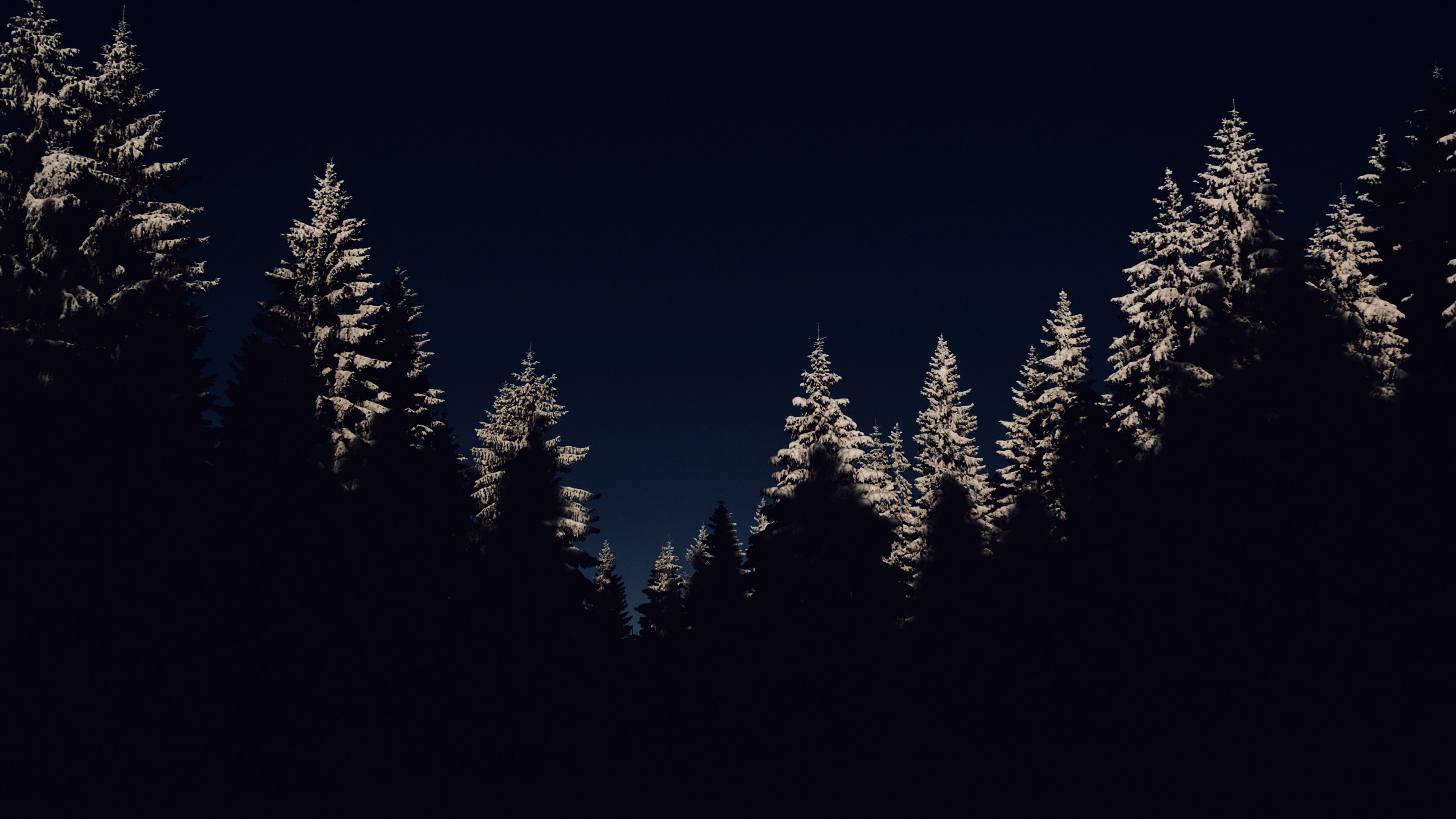 Wood Winter Night Mountain Dark