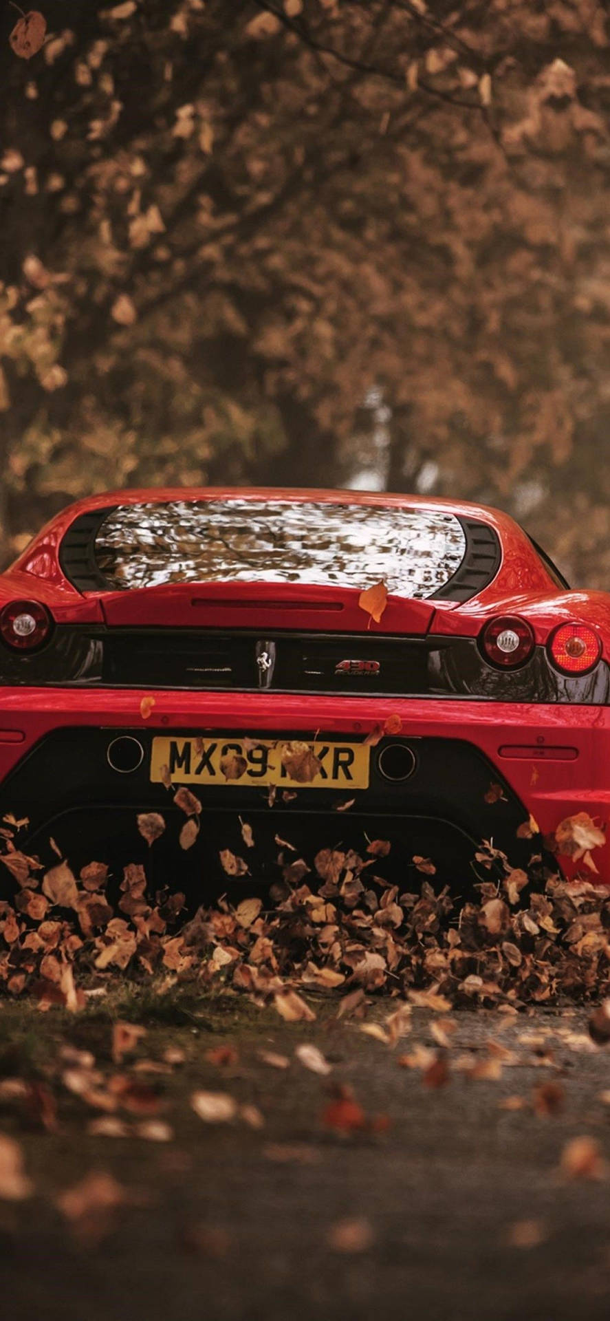Autumn Leaves Ferrari iPhone Wallpaper