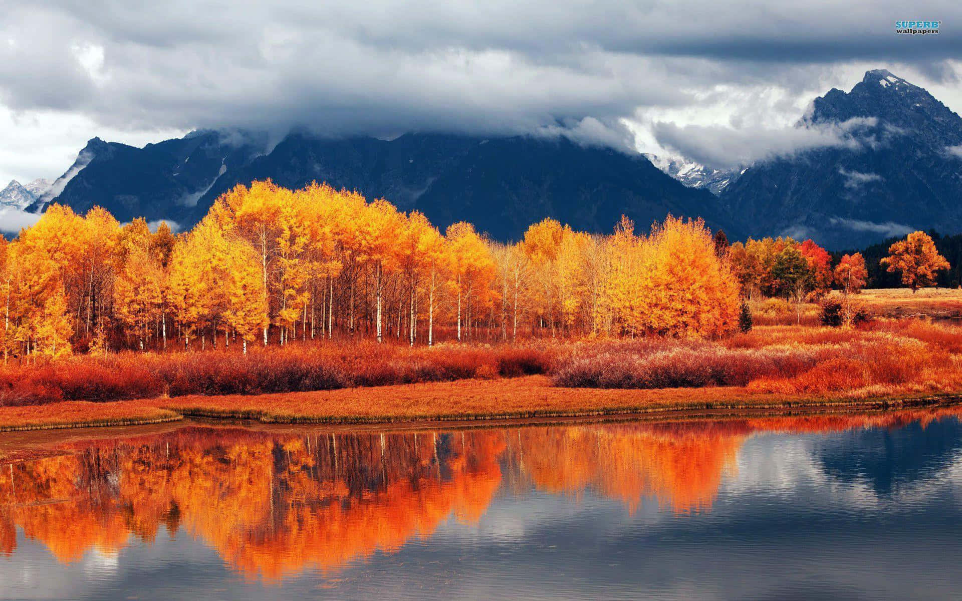 Fall Landscape Wallpaper