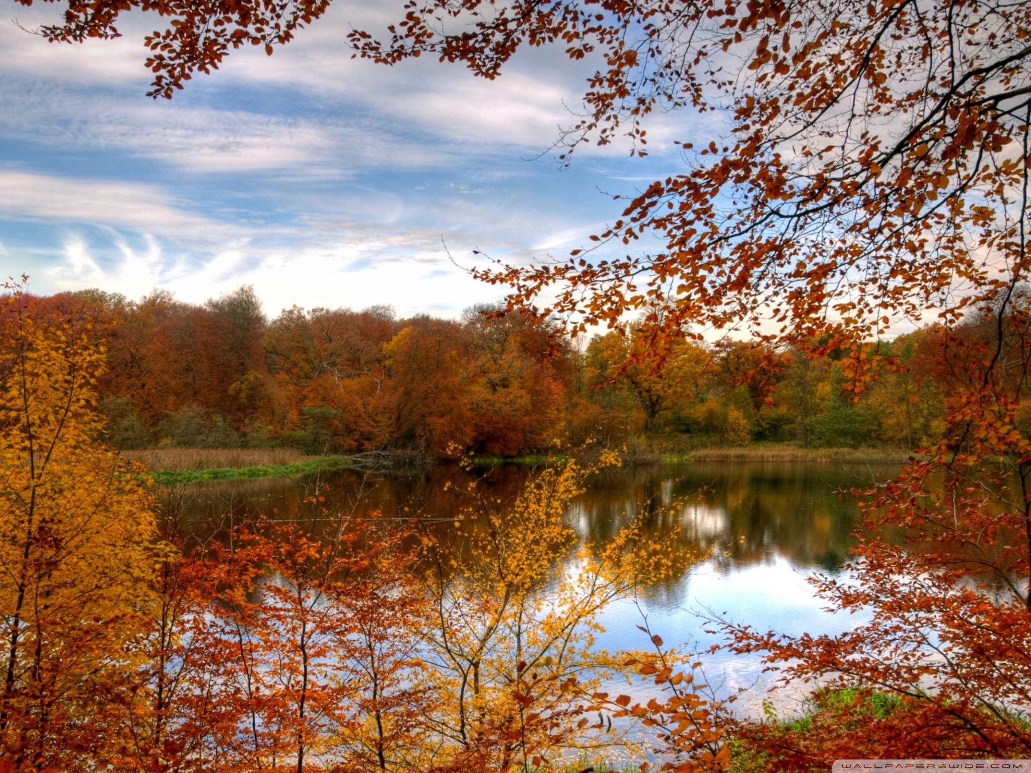 Colourful Autumn Forest Reflecting In Calm Lake Ultra HD Desktop Background Wallpaper for 4K UHD TV, Multi Display, Dual Monitor, Tablet