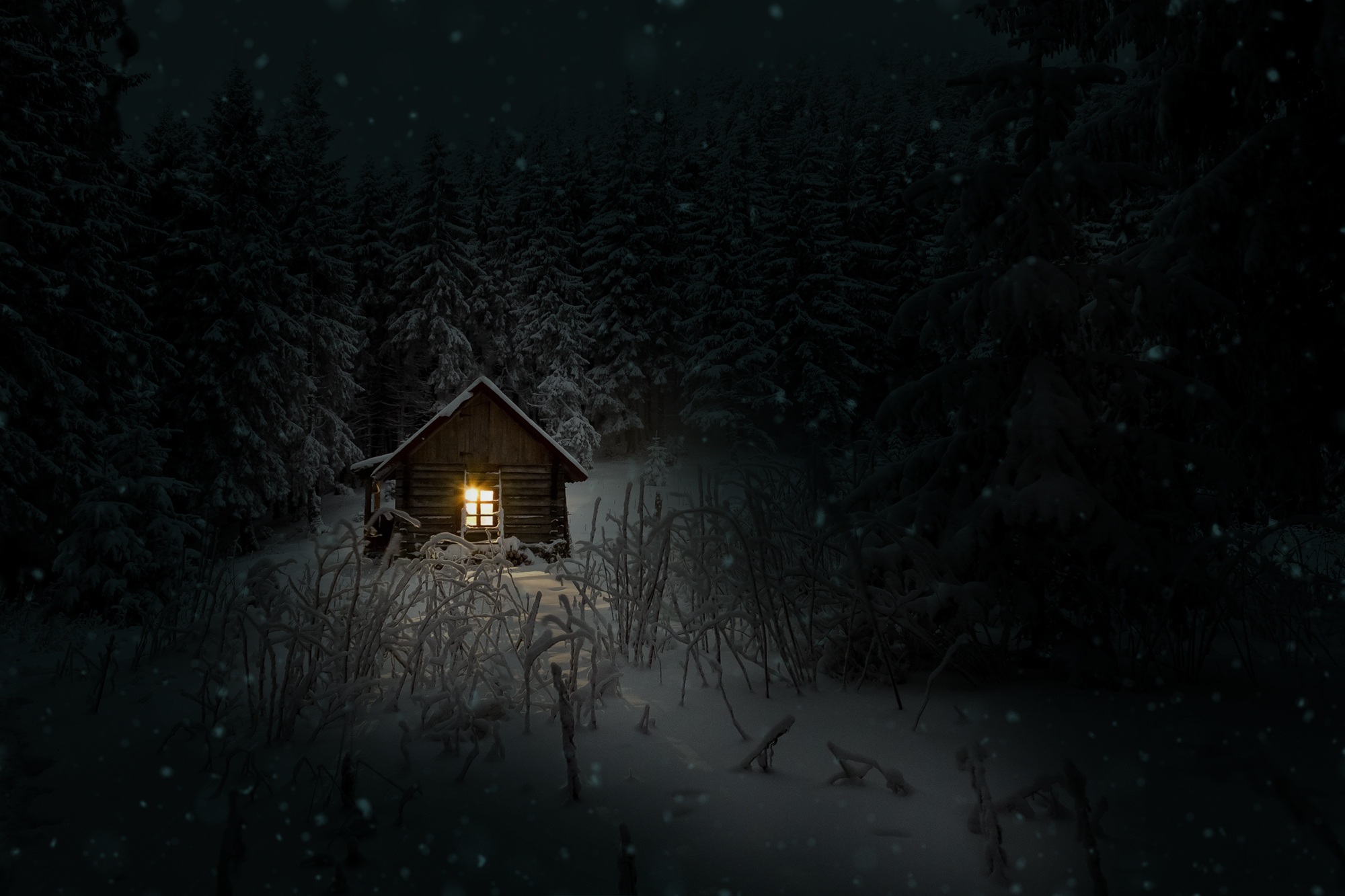 House In Woods Winter Cold Chromebook Pixel , HD 4k Wallpaper Image, Background, Photos and Picture