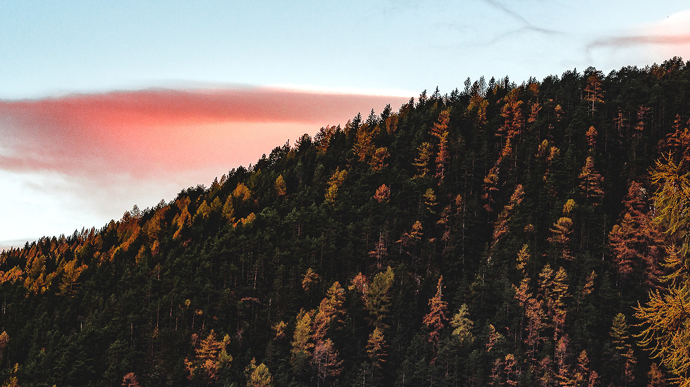 Fall Mountain Wood Autumn Nature