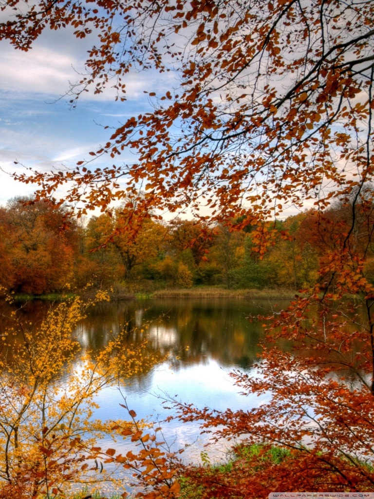 Colourful Autumn Forest Reflecting In Calm Lake Ultra HD Desktop Background Wallpaper for 4K UHD TV, Multi Display, Dual Monitor, Tablet