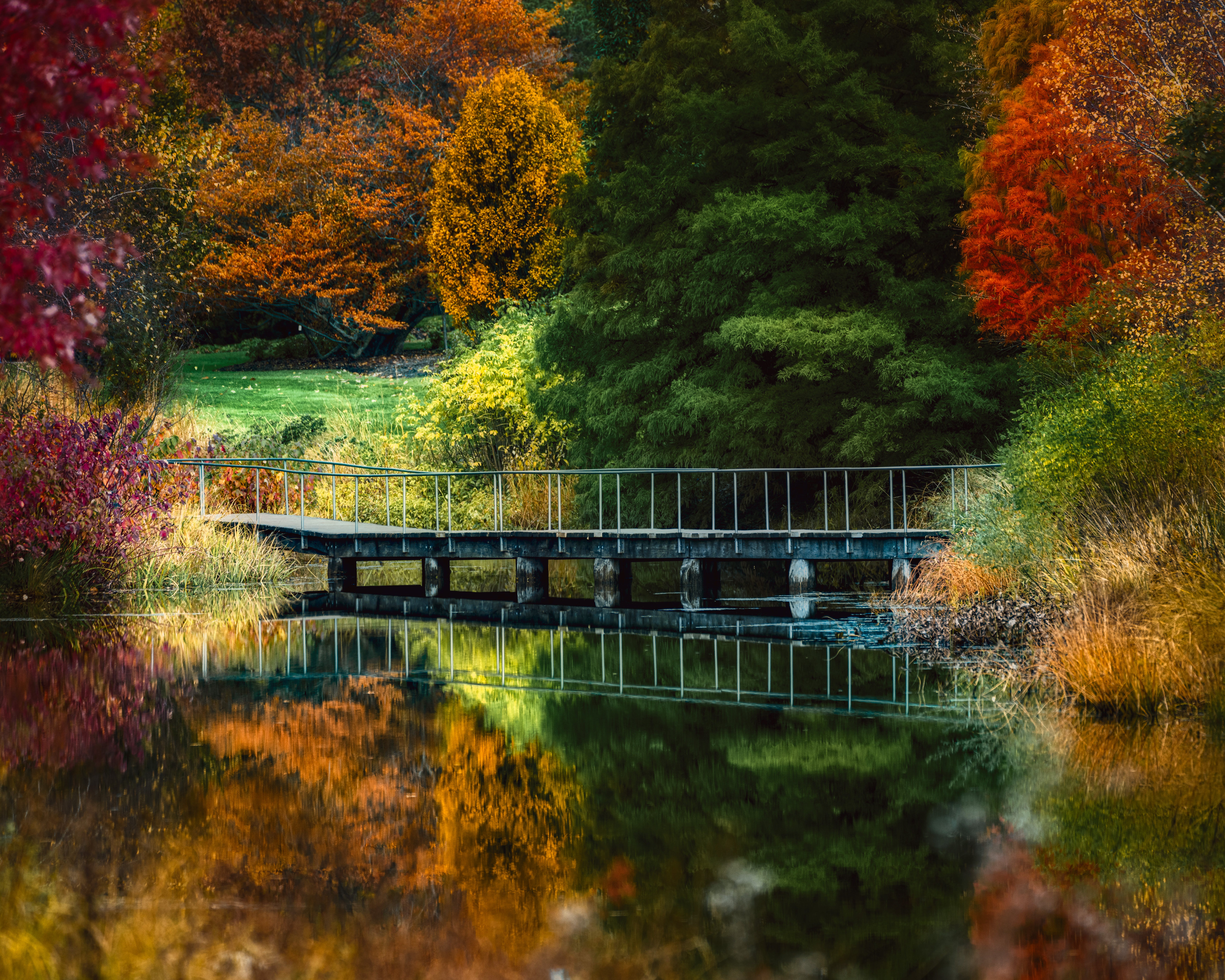 Narrow footbridge crossing calm lake in abundant autumn park · Free