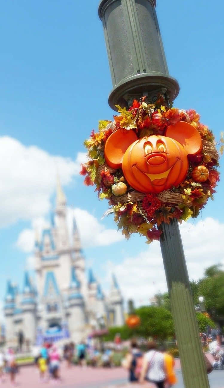 Download Autumn Vibes at Disney Wallpaper