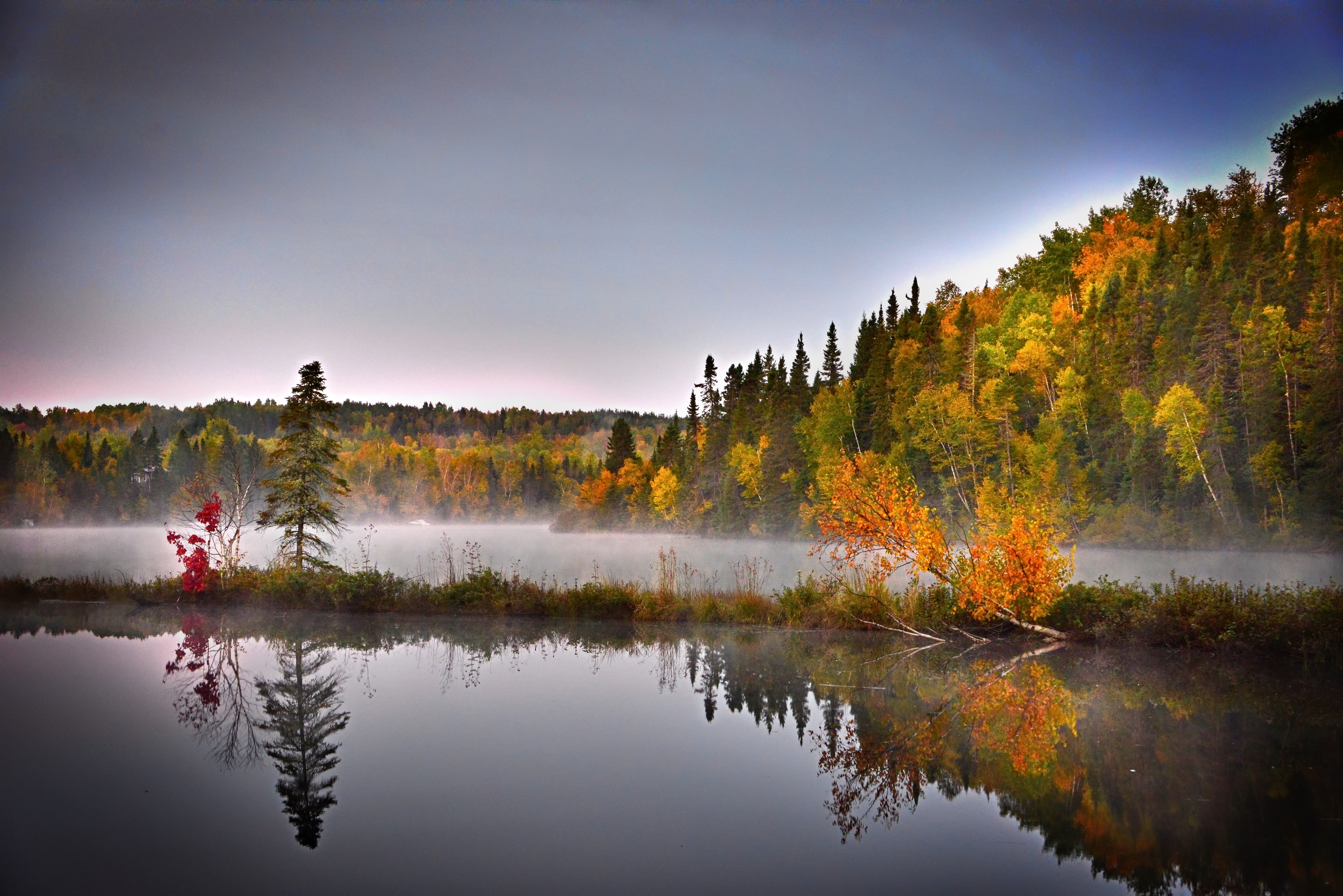 Free Image, tree, water, nature, cloud, sunrise, mist, sunlight, morning, leaf, lake, dawn, dusk, evening, reflection, calm, contrast, season, trees, colors, quebec, autumn landscape, atmospheric phenomenon, computer wallpaper 6016x4016