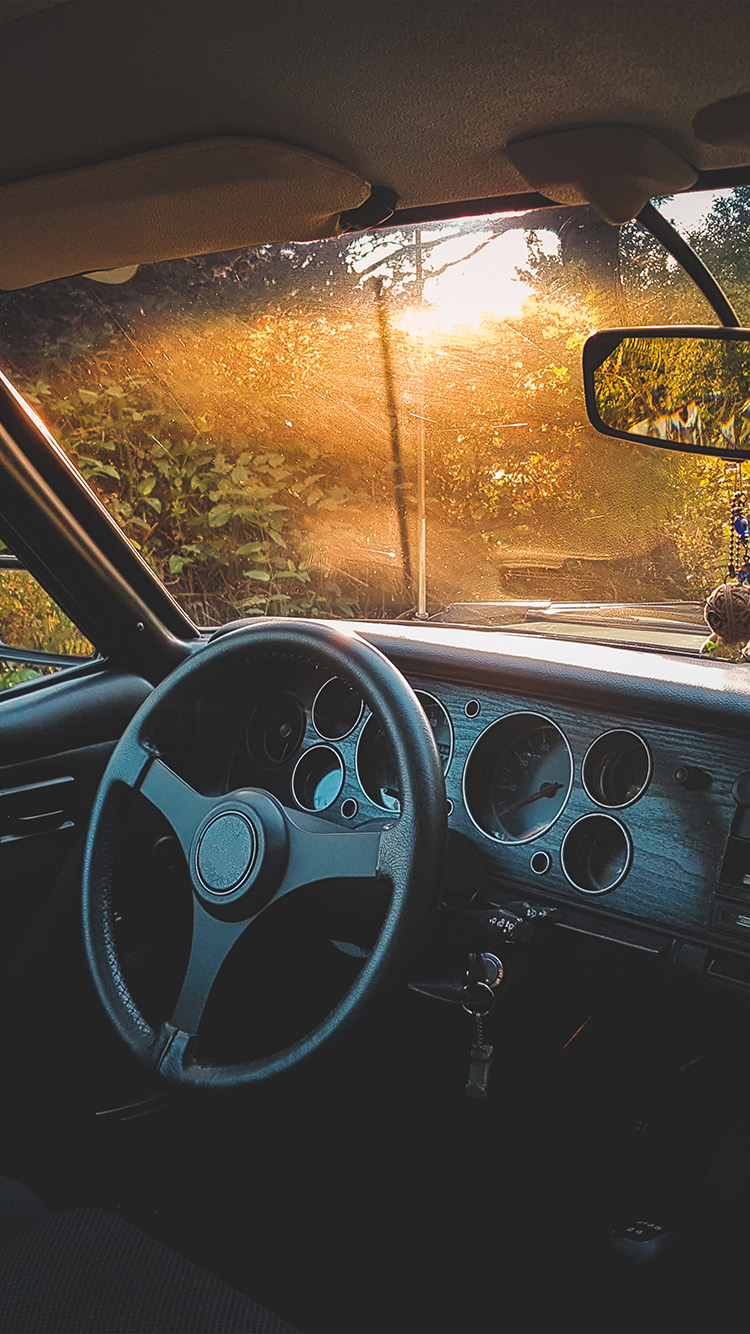 Car Drive Forest Light Nature Wallpaper