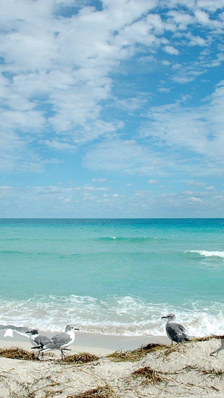 Florida Beach iPhone Wallpaper