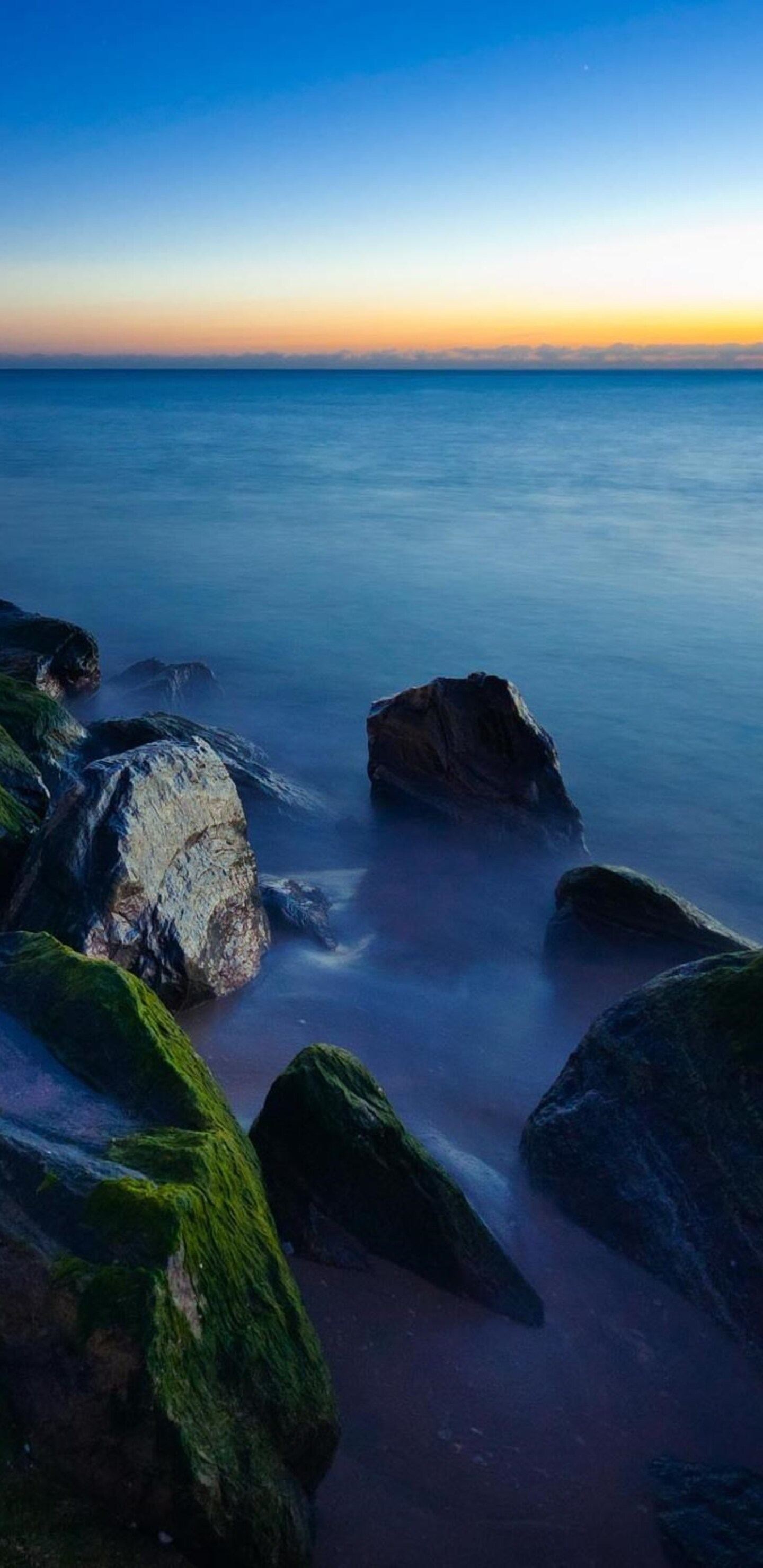 Florida Wallpaper Download