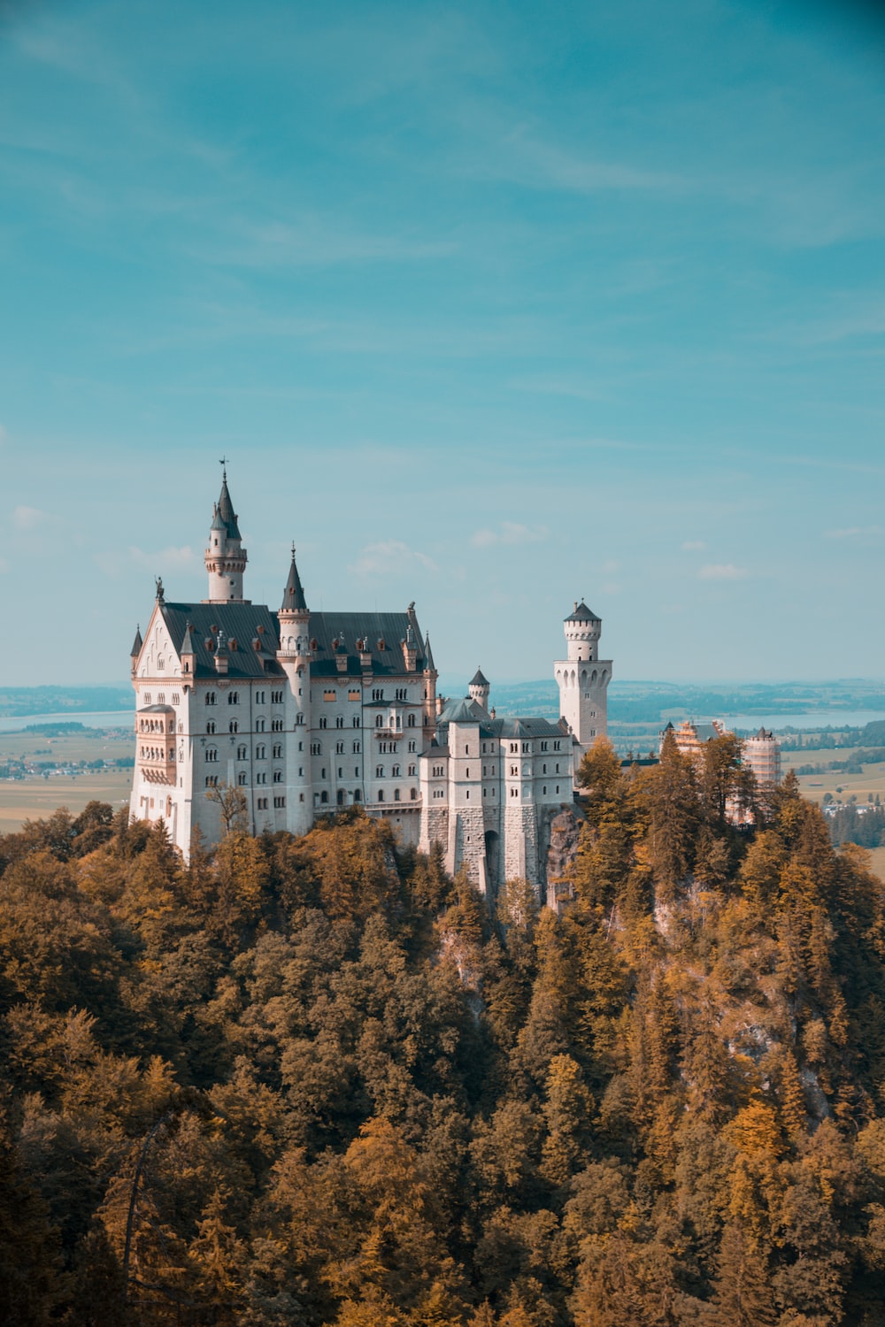 Neuschwanstein Castle Picture [HD]. Download Free Image