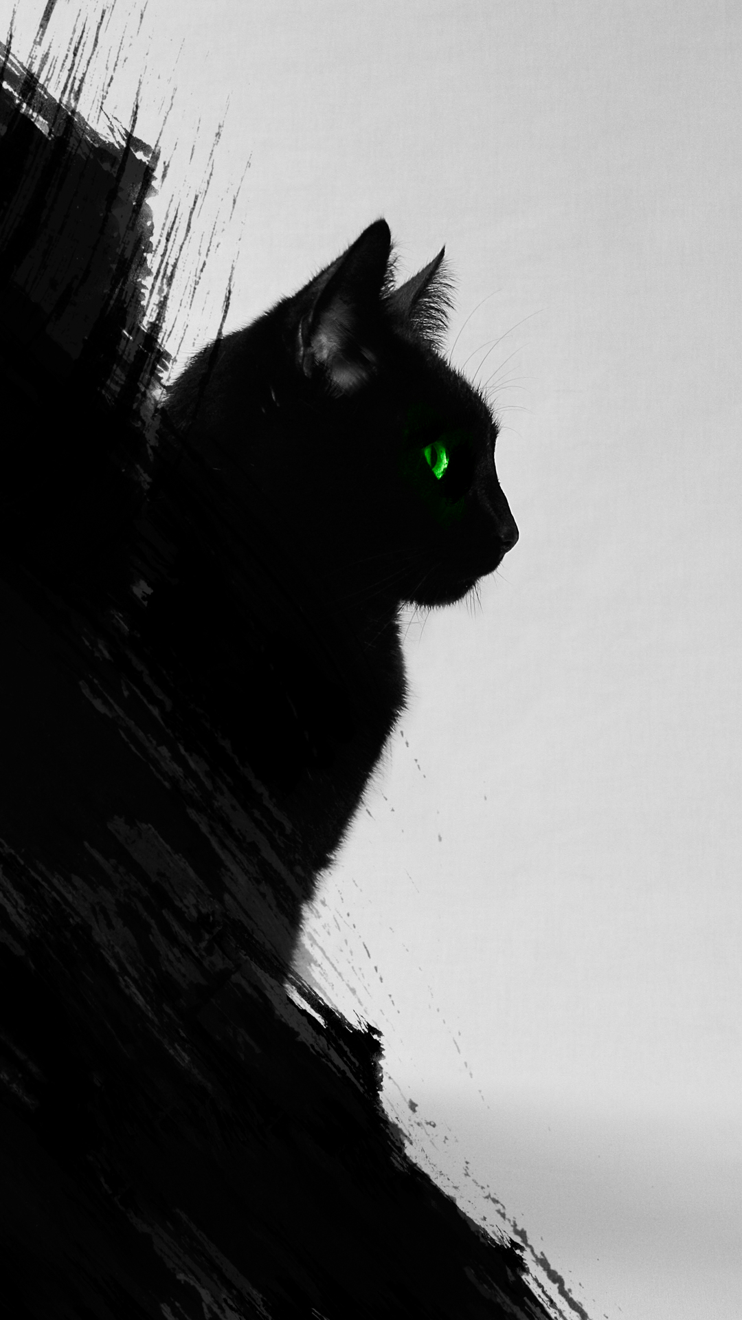 Black Cat iPhone Wallpaper HD