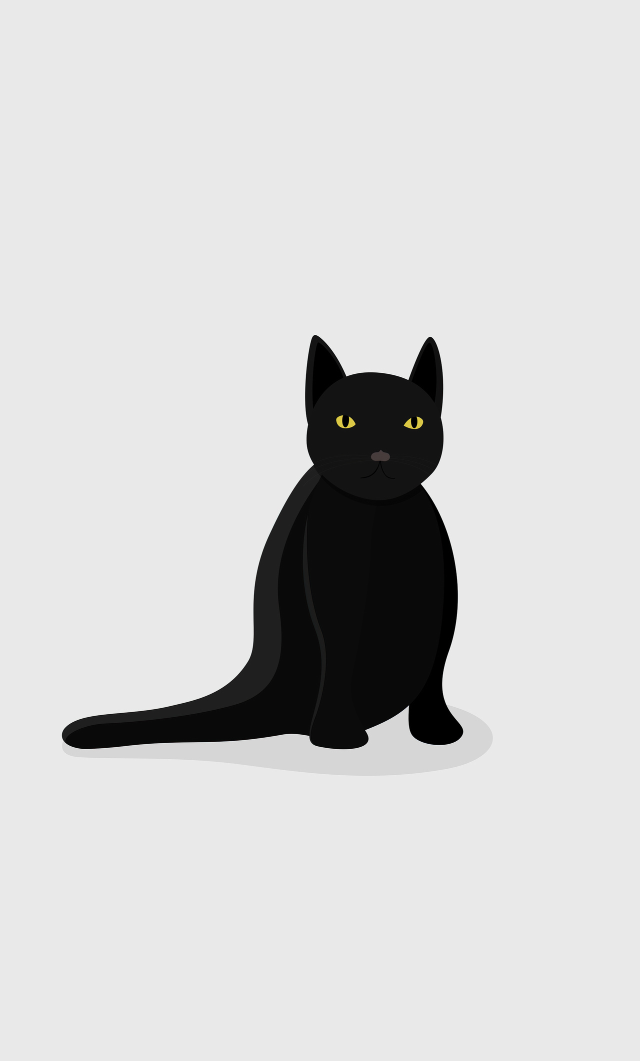 Black Cat Minimal 5k iPhone HD 4k Wallpaper, Image, Background, Photo and Picture