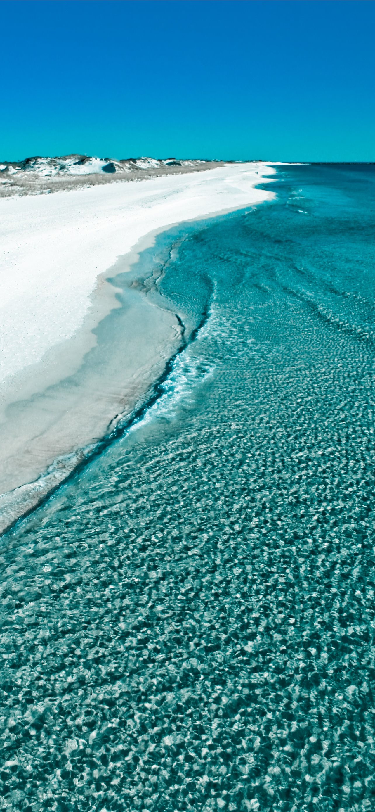 Best Florida iPhone HD Wallpaper