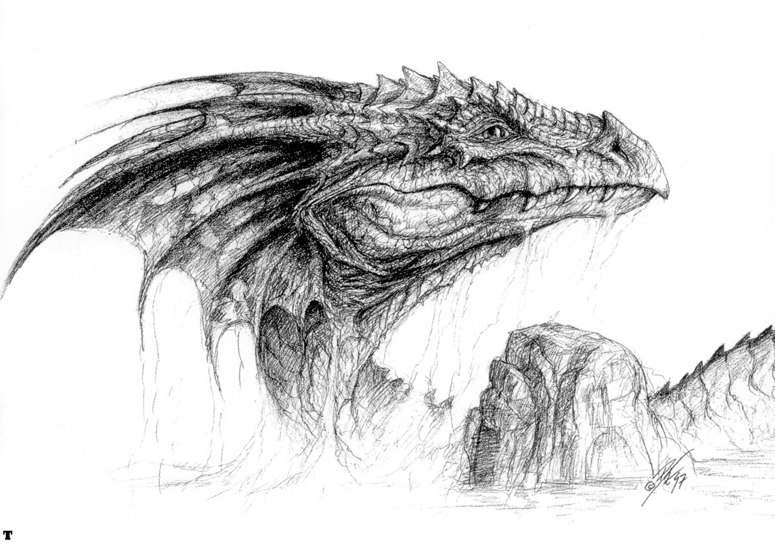 Dragon Head Sketch.