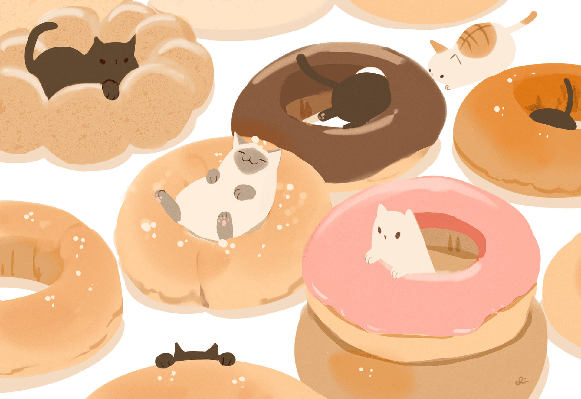 Download Anime Cats In Doughnuts Wallpaper