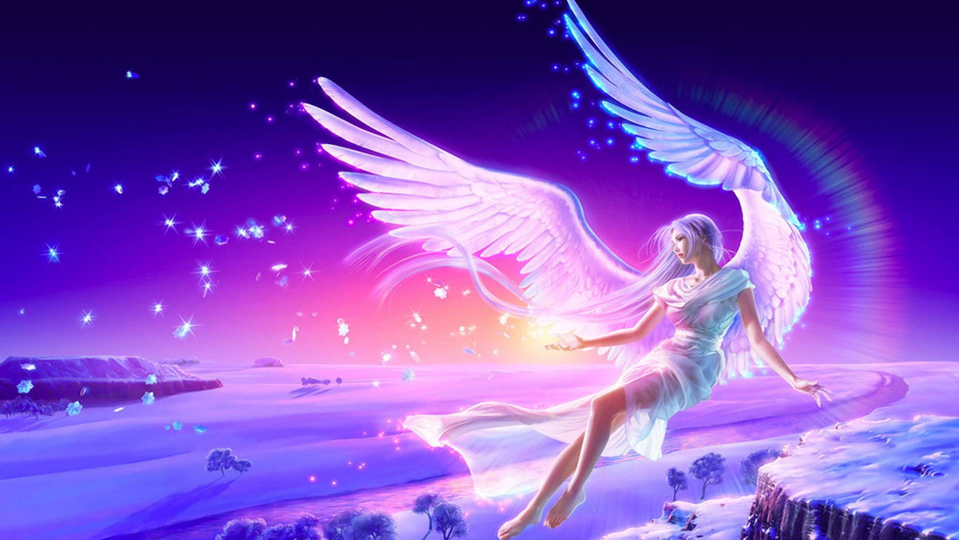 Download Pink Fairy Flying Night Wallpaper