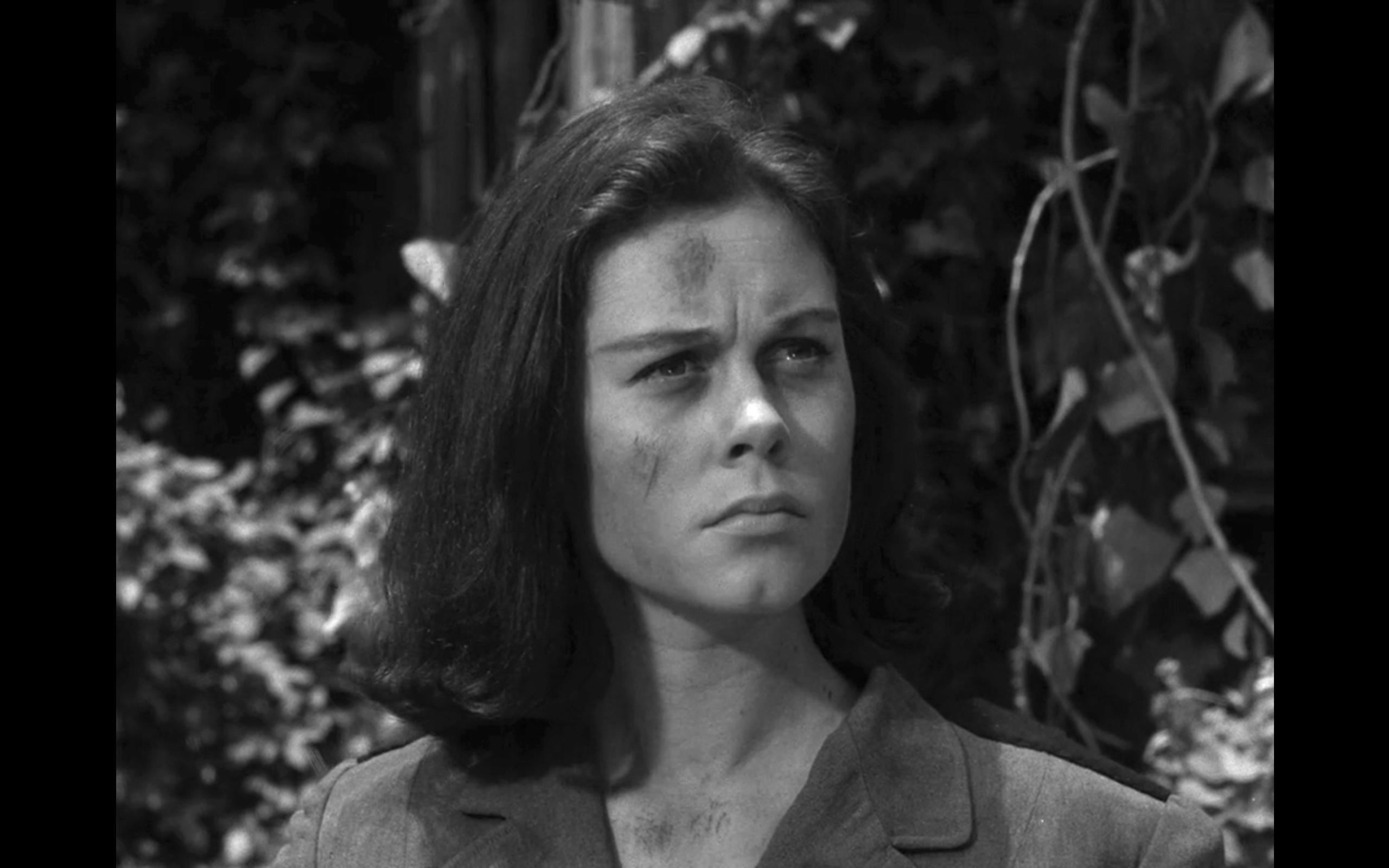 Elizabeth Montgomery