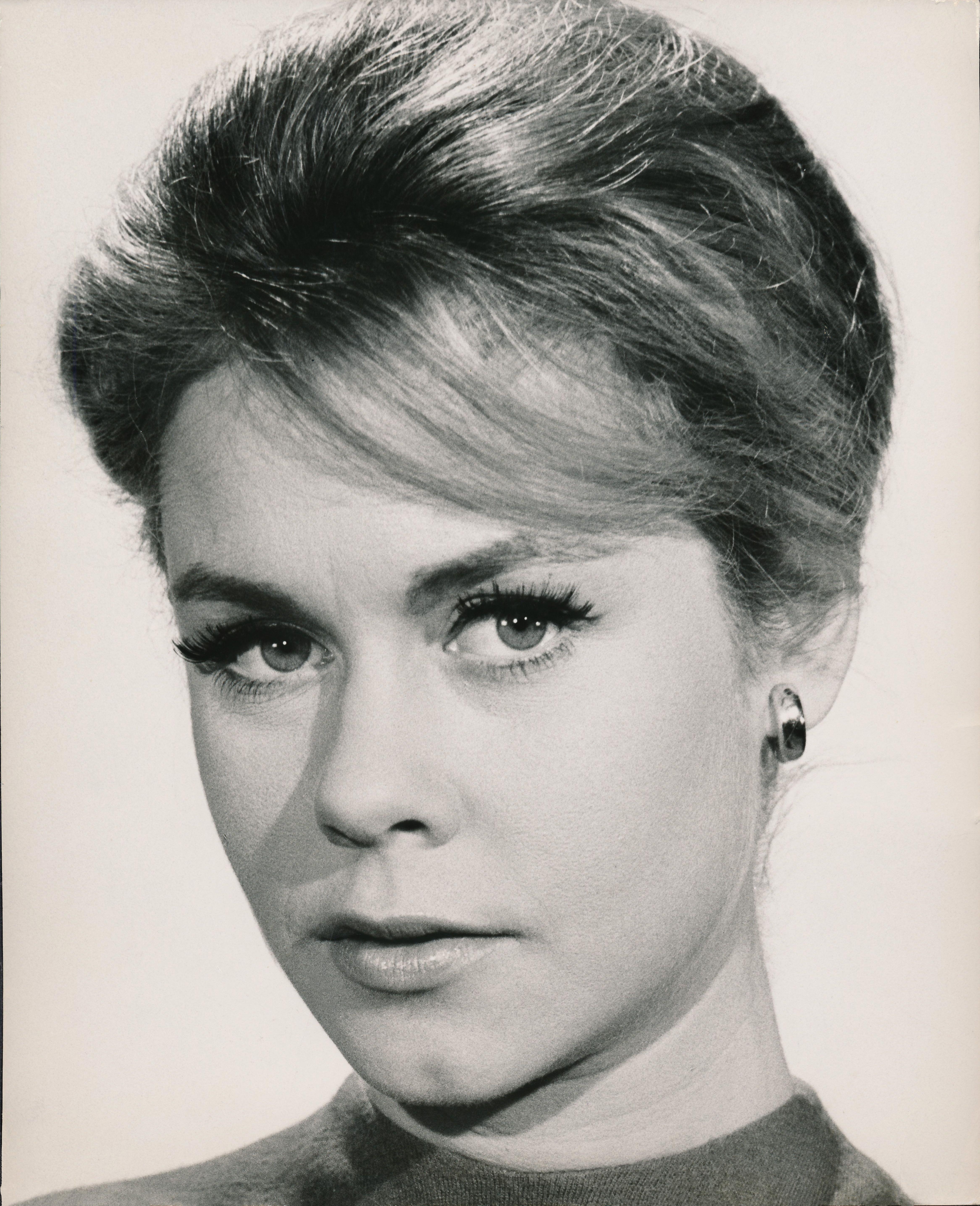 Unknown Montgomery Closeup Fine Art Print at 1stDibs. elizabeth montgomery smoker, erin murphy, elizabeth montgomery image