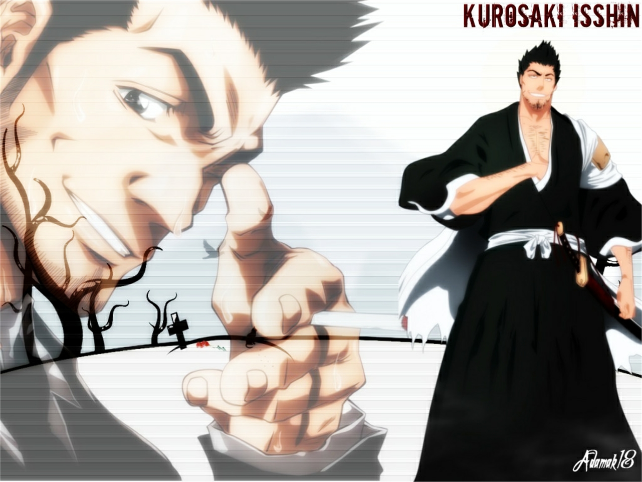 Isshin Kurosaki Wallpaper, Phone Wallpaper, PFP, Gifs, and More!