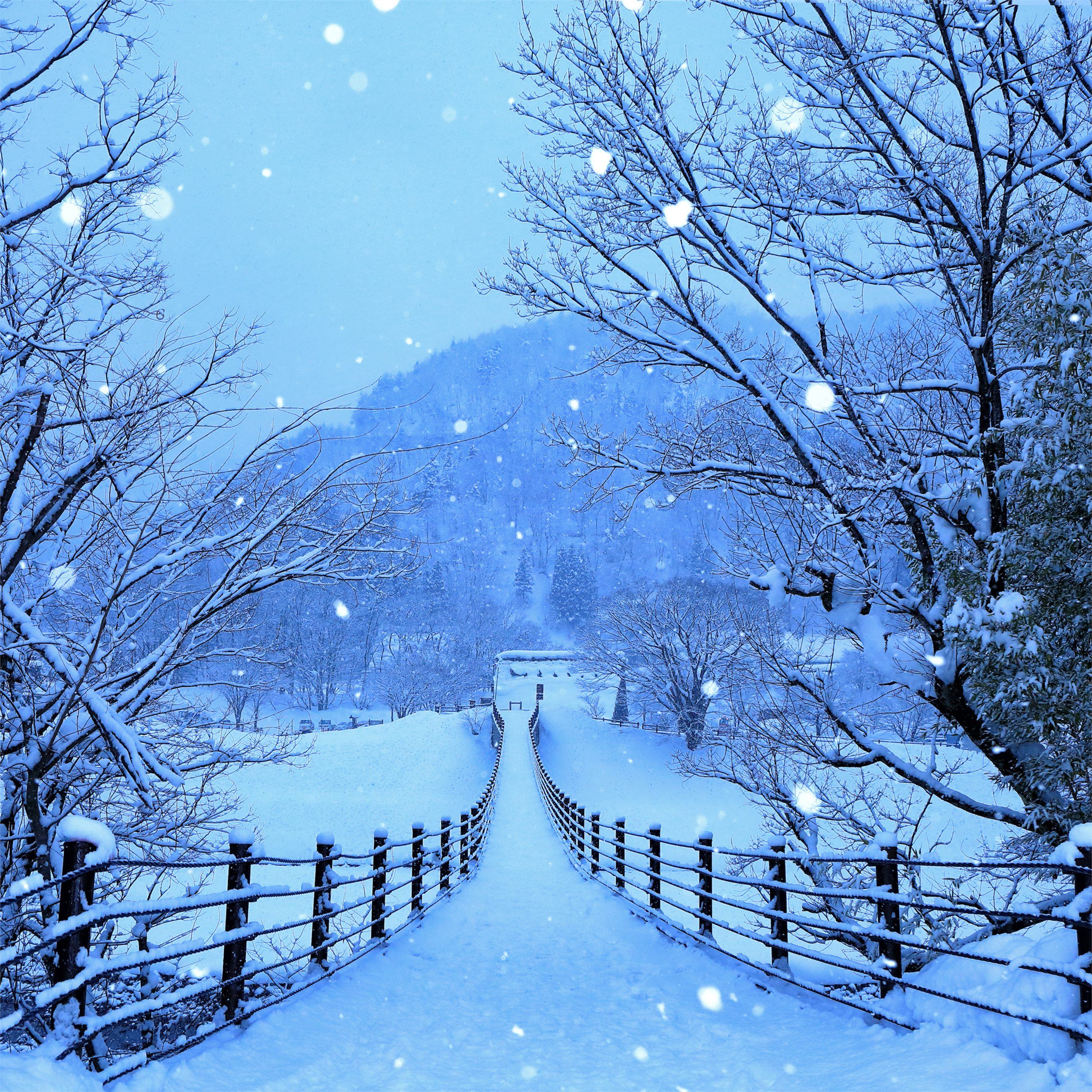 nature k #japan. Winter wallpaper
