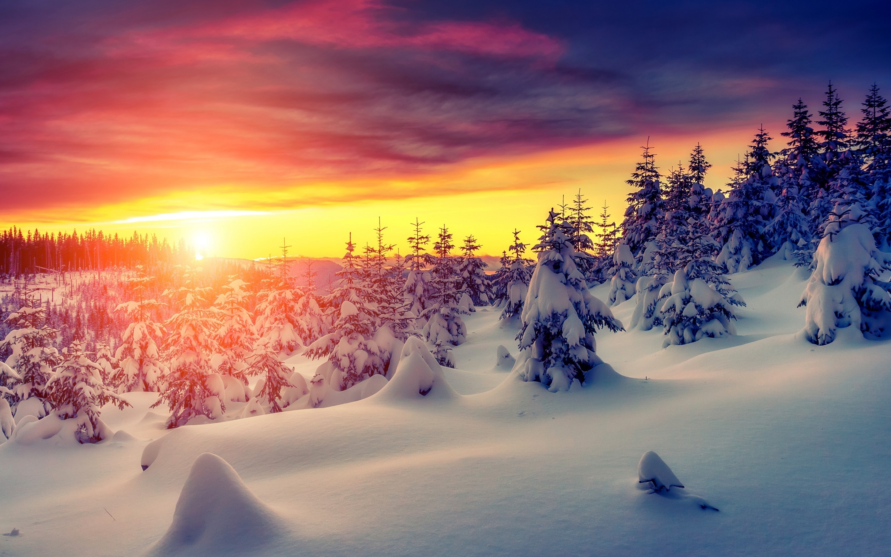 Gorgeous Winter Sunrise HD Wallpaper