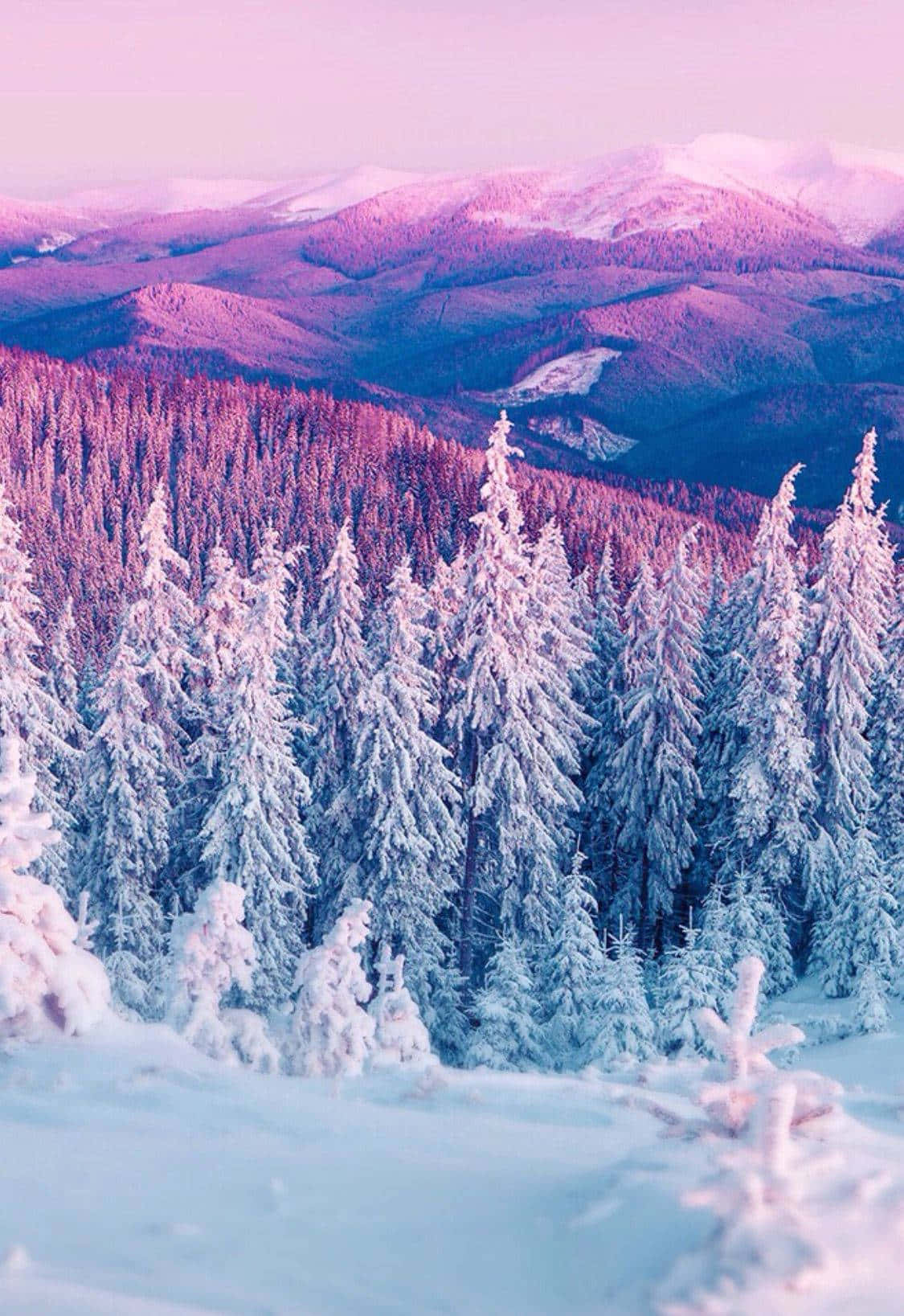 Blue Mountains Cute Winter Background