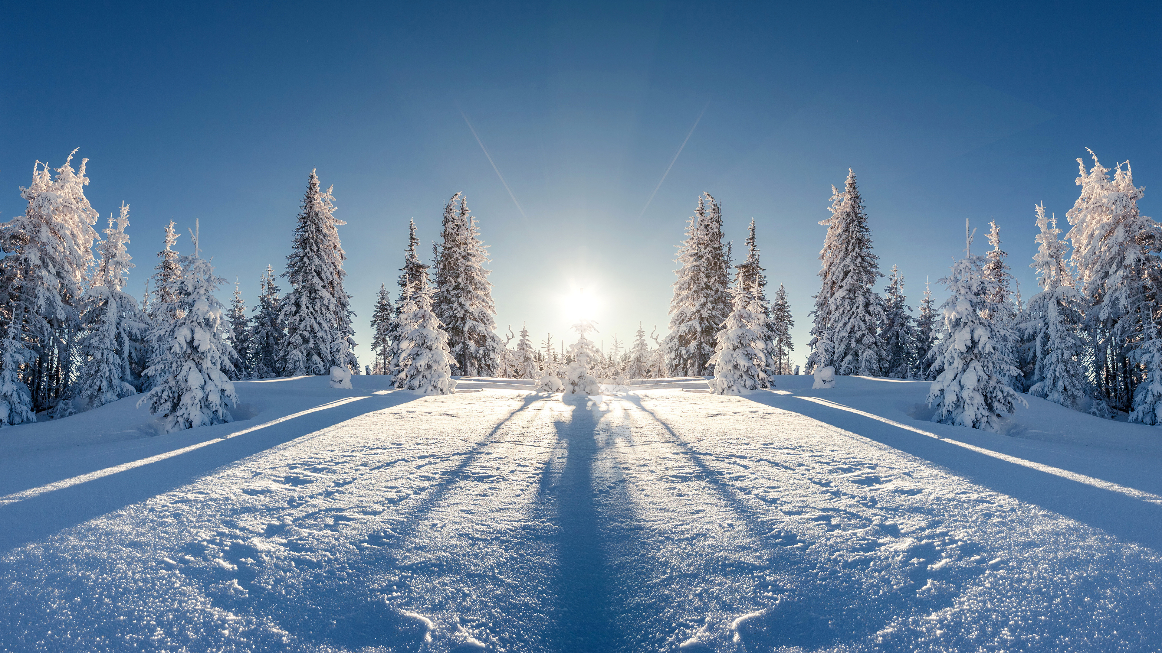 Photos Winter Spruce Nature Snow sunrise and sunset 3840x2160