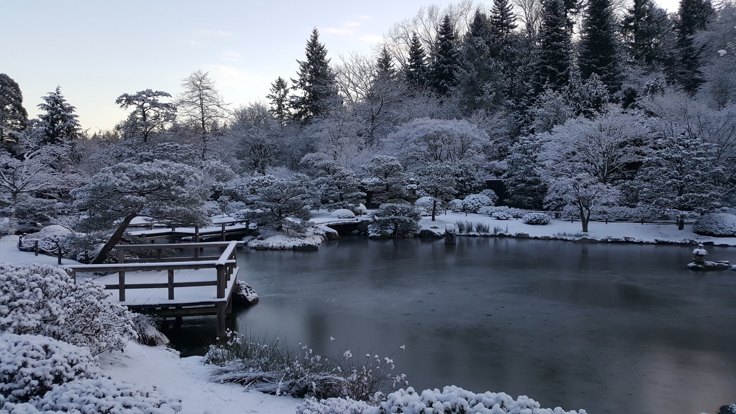 Seattle Japanese Garden