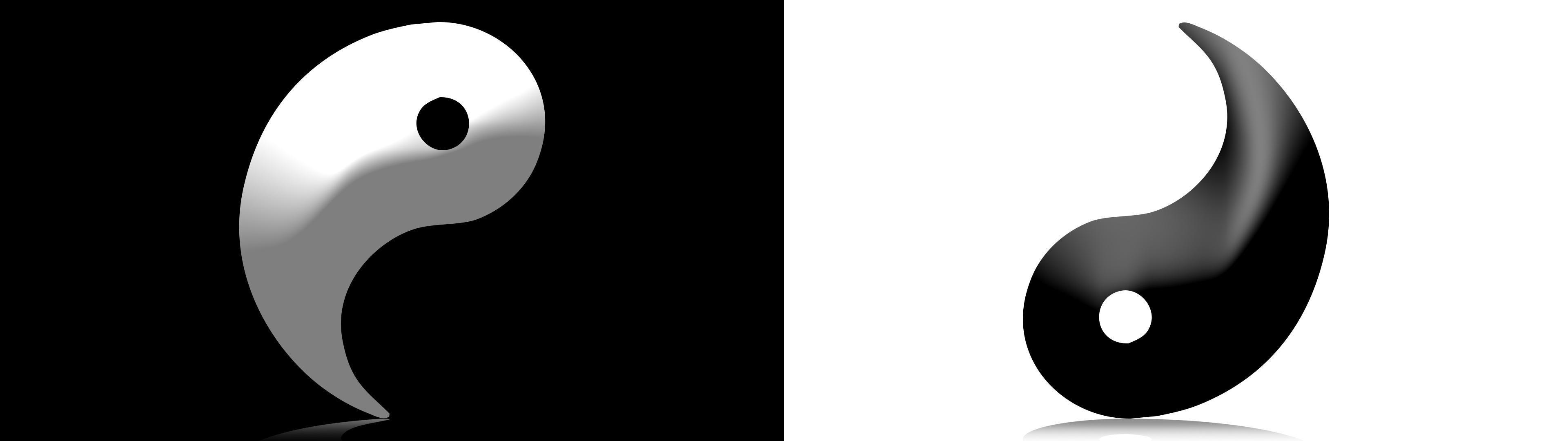 Black and White Dual Screen Wallpaper