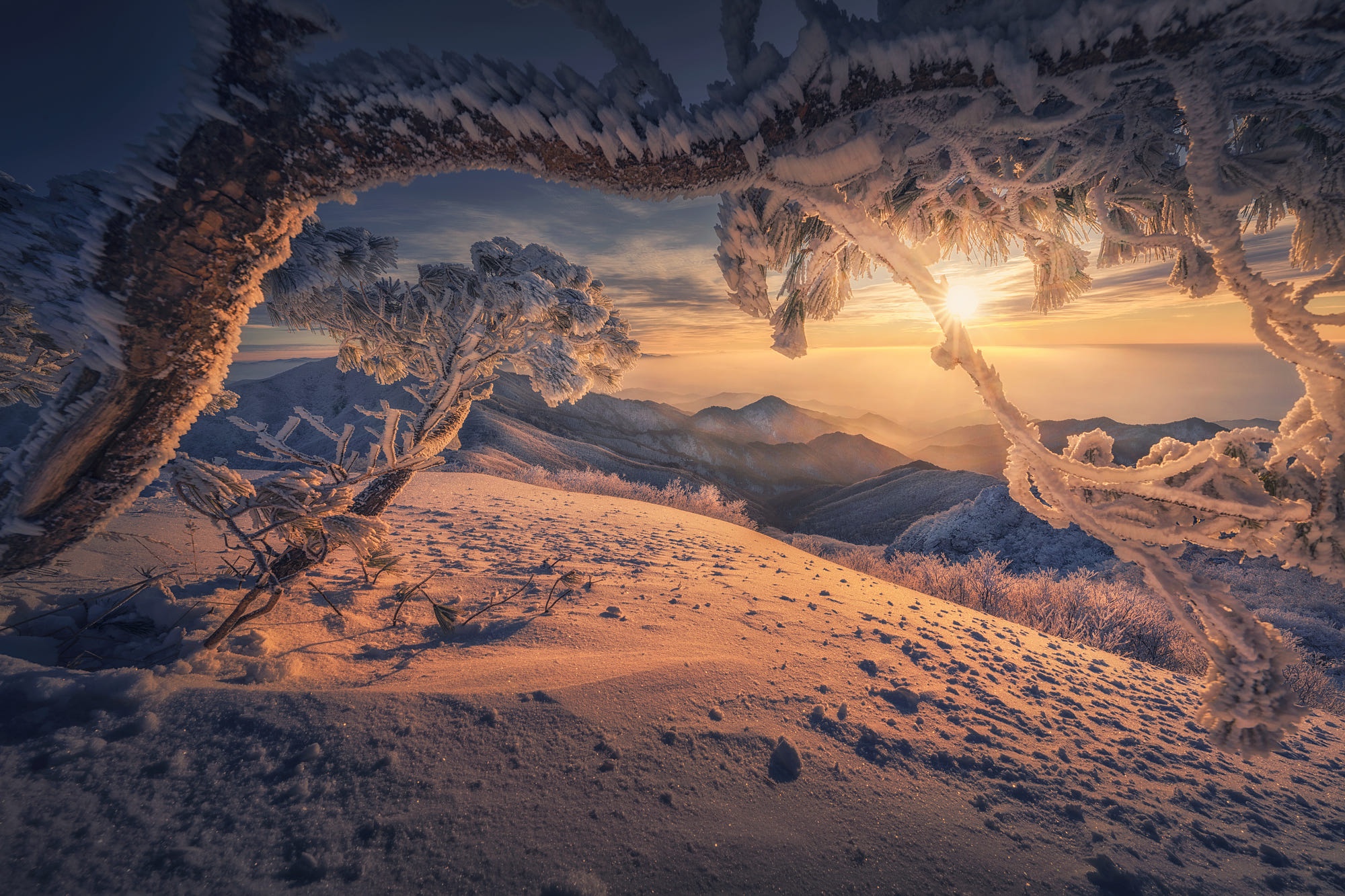 South Korea Nature Winter HD Wallpaper