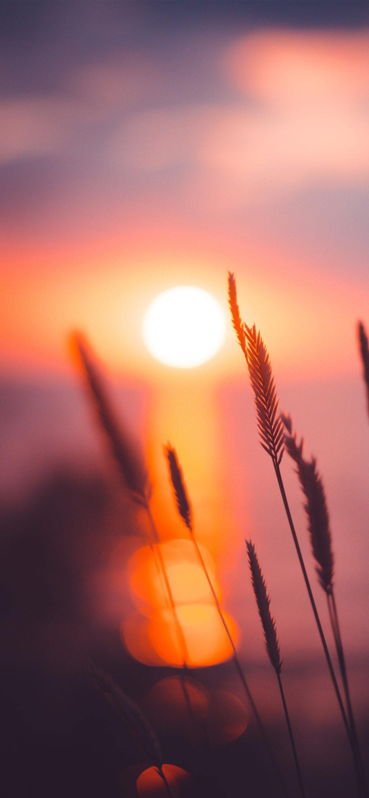 Sunrise Wallpaper for iPhone 11, Pro Max, X, 8, 7, 6