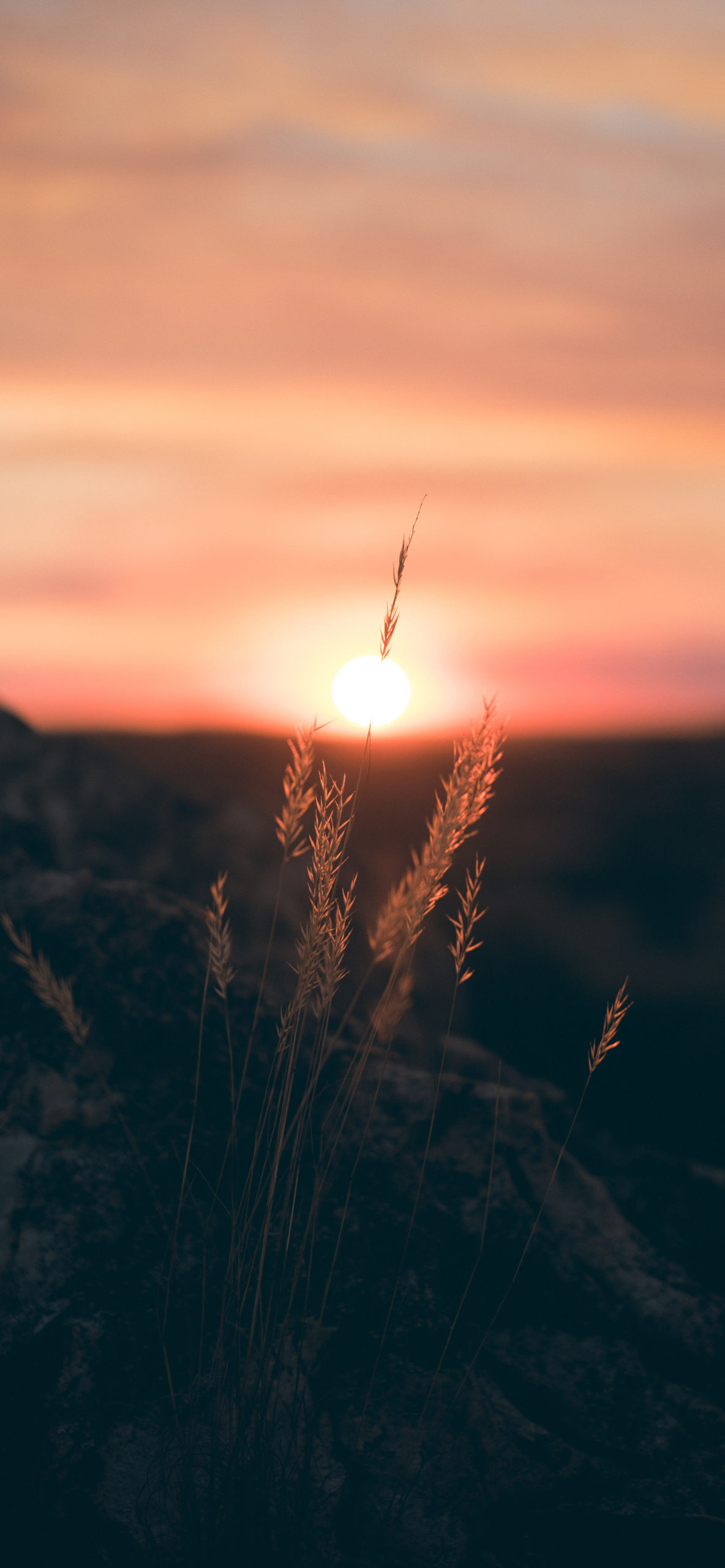 Sunrise Wallpaper for iPhone 11, Pro Max, X, 8, 7, 6