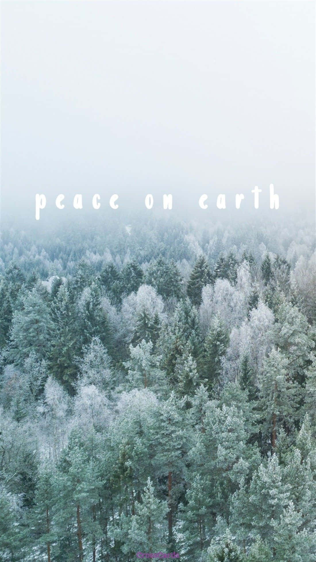 Download Peace On Earth Photo Of Trees And Snow