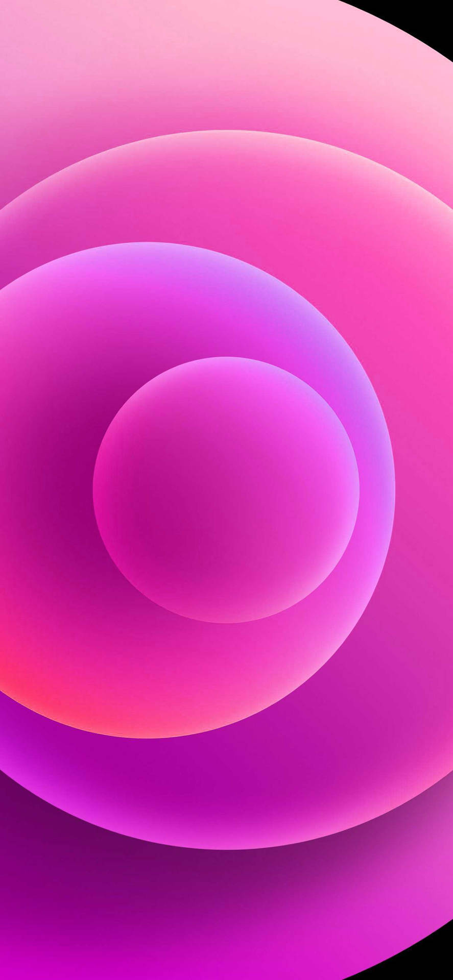 Download Pink Orbs iPhone 12 Wallpaper