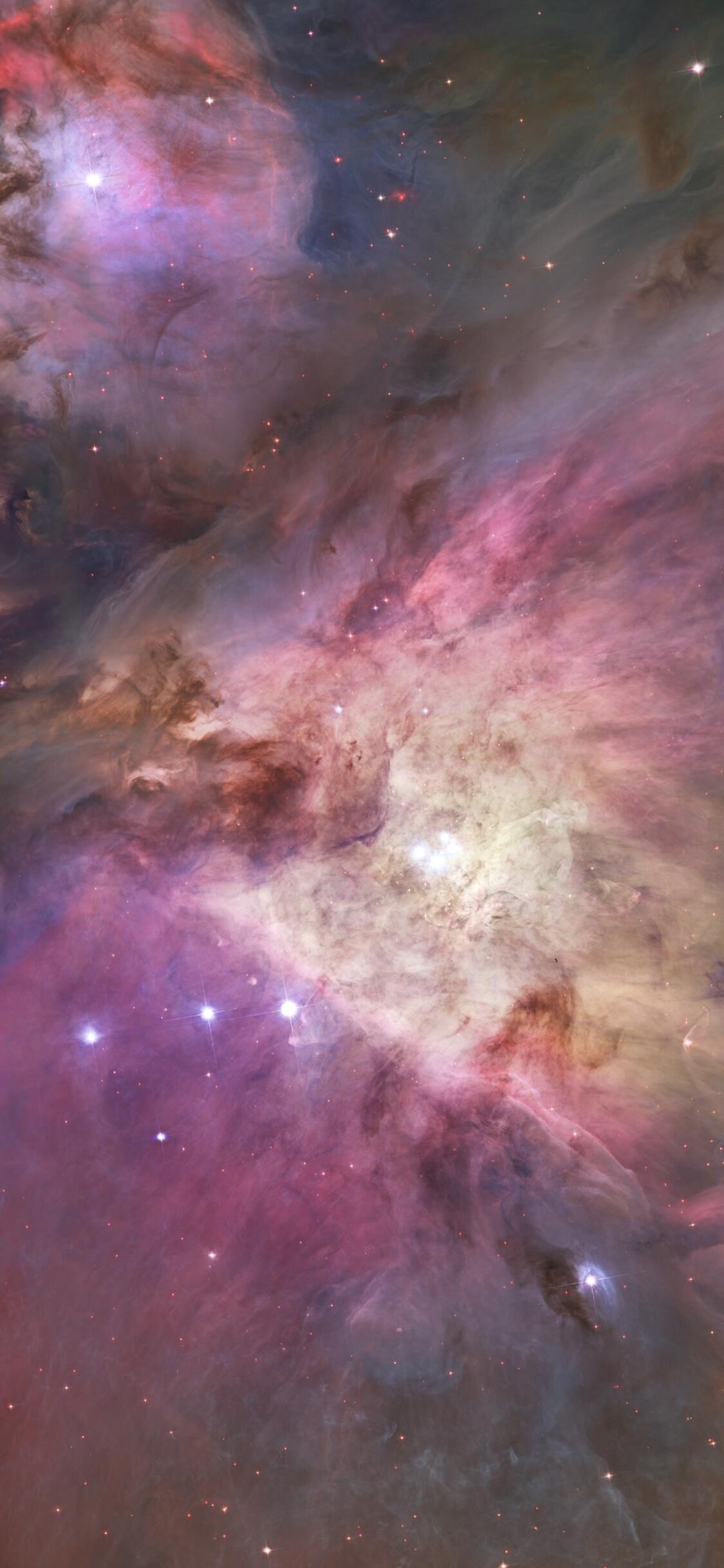 Orion Nebula iPhone XS, iPhone 10, iPhone X HD 4k Wallpaper, Image, Background, Photo and Picture