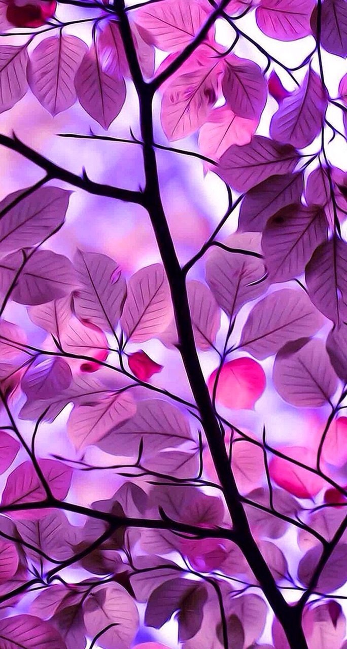 Purple autumn Wallpaper Download
