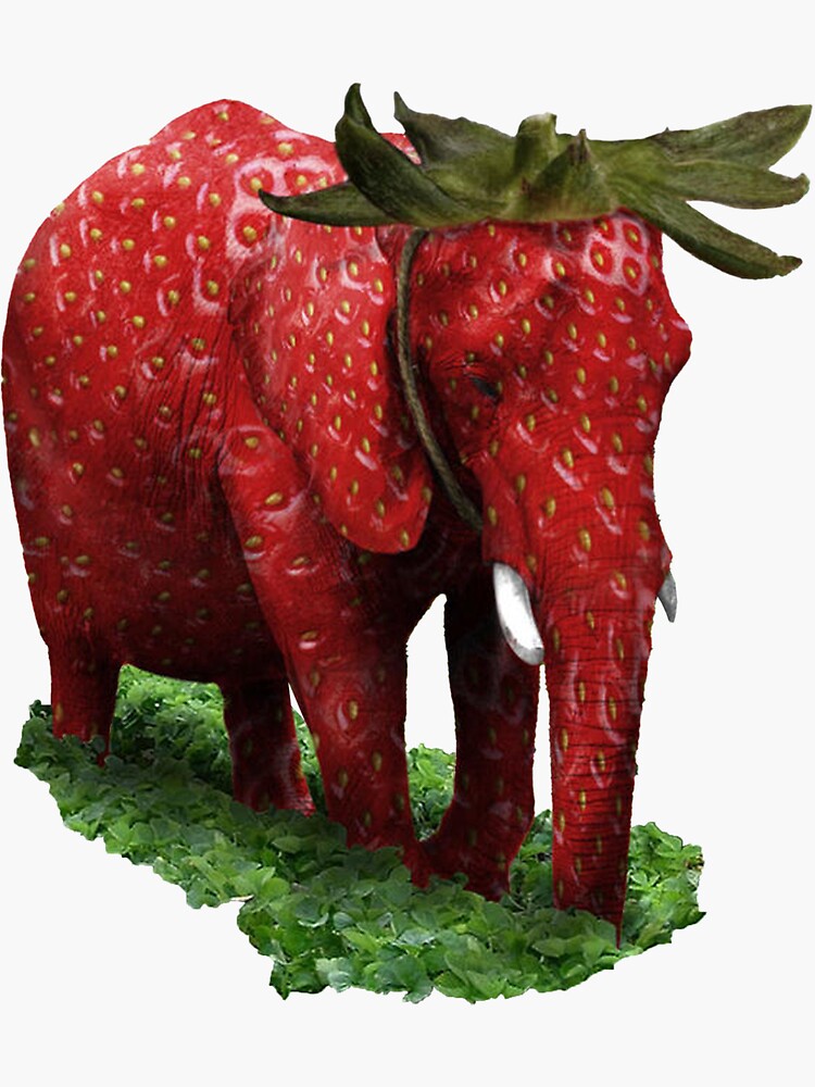 strawberry elephant wallpaper
