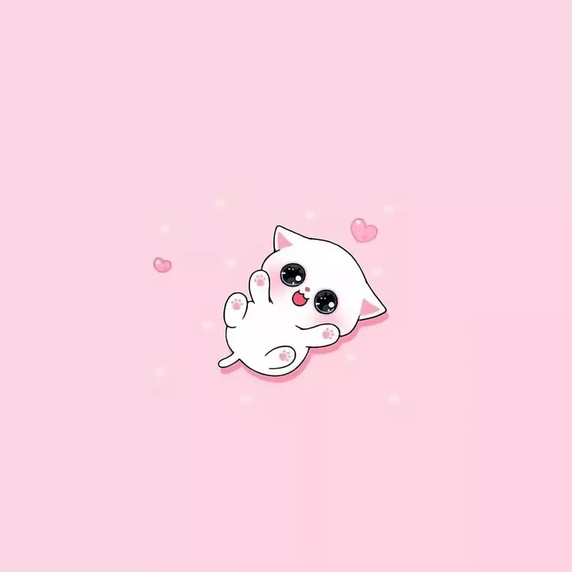 Cute Cat Pfp Cat Profile Picture, Pfp, Avatar, Dp, icon [ HQ ]