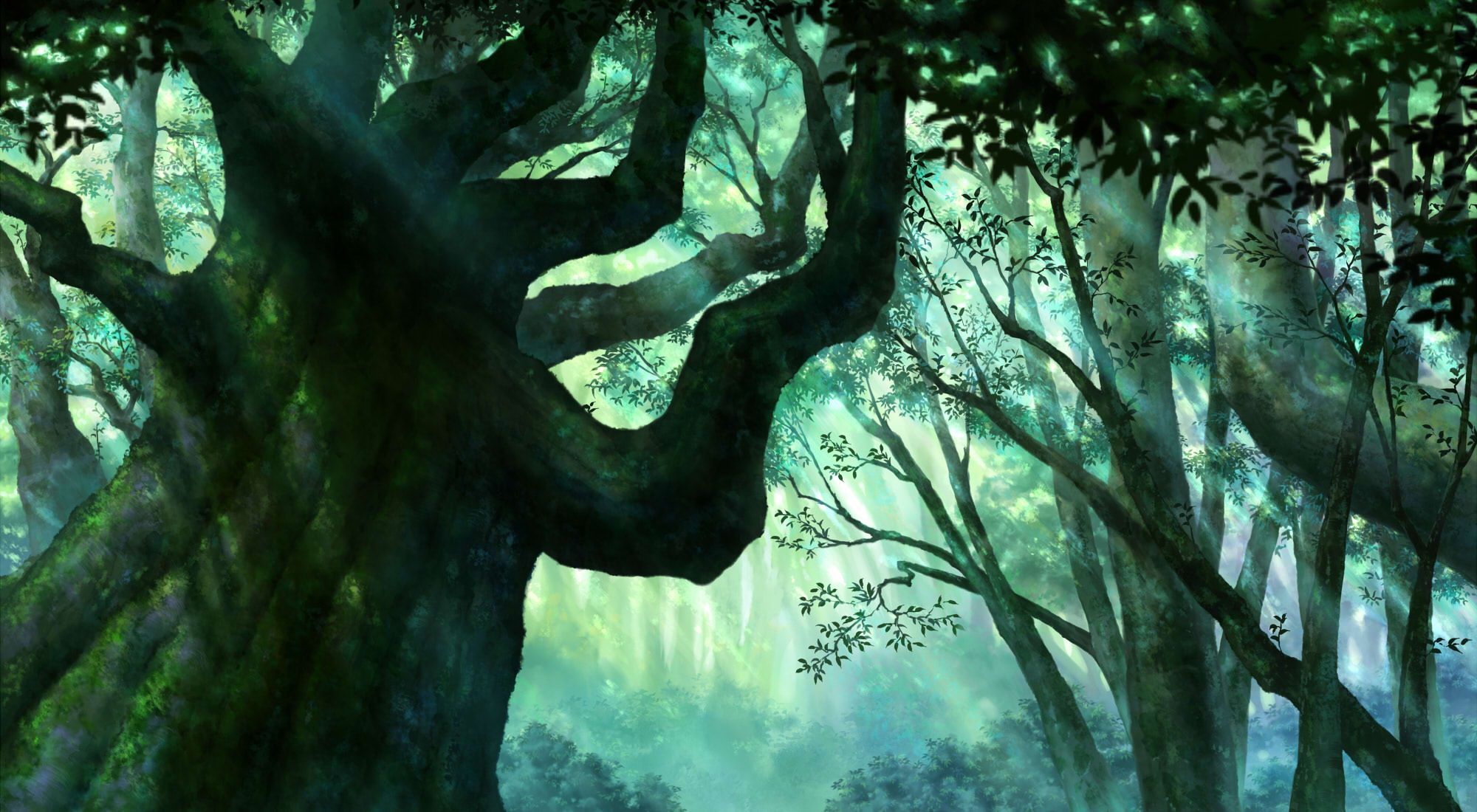 Anime Forest Background. Tree nature wallpaper, Forest background, Nature wallpaper