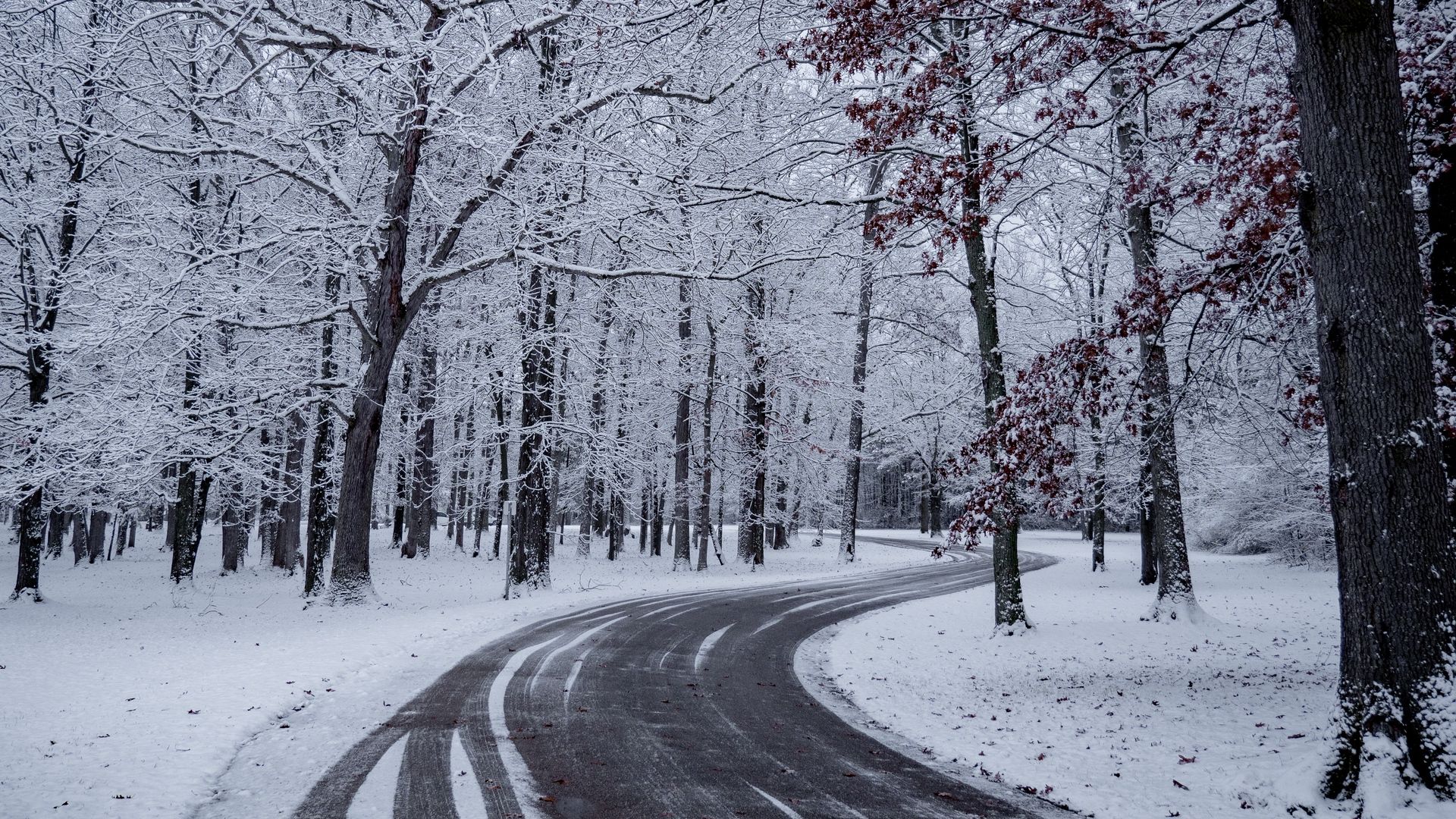 Wallpaper snow winter road trees turn. Nature photo, Snow, Bad storms