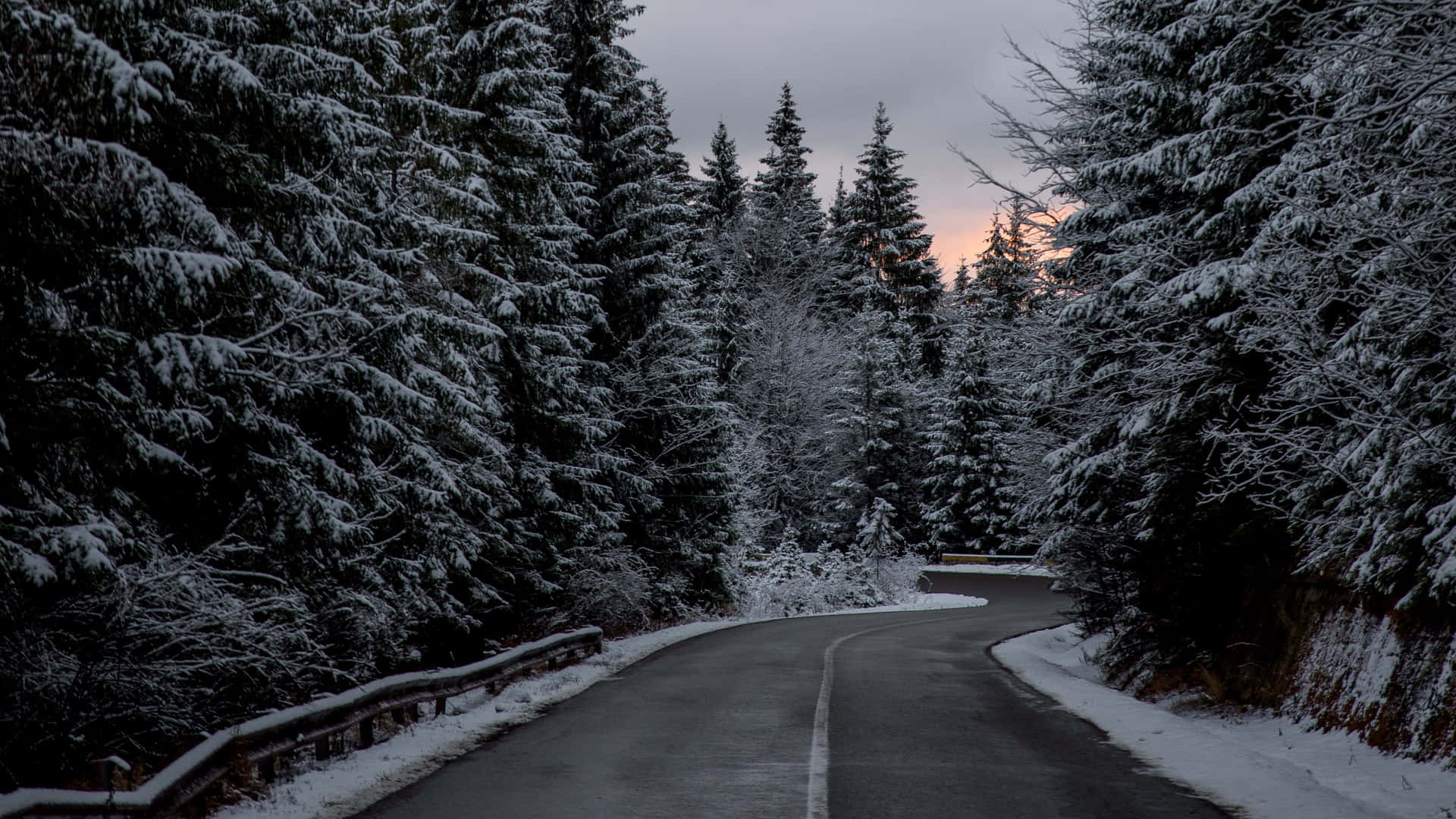 Download Serene Snowy Road Guided by Tree Lined Path Wallpaper