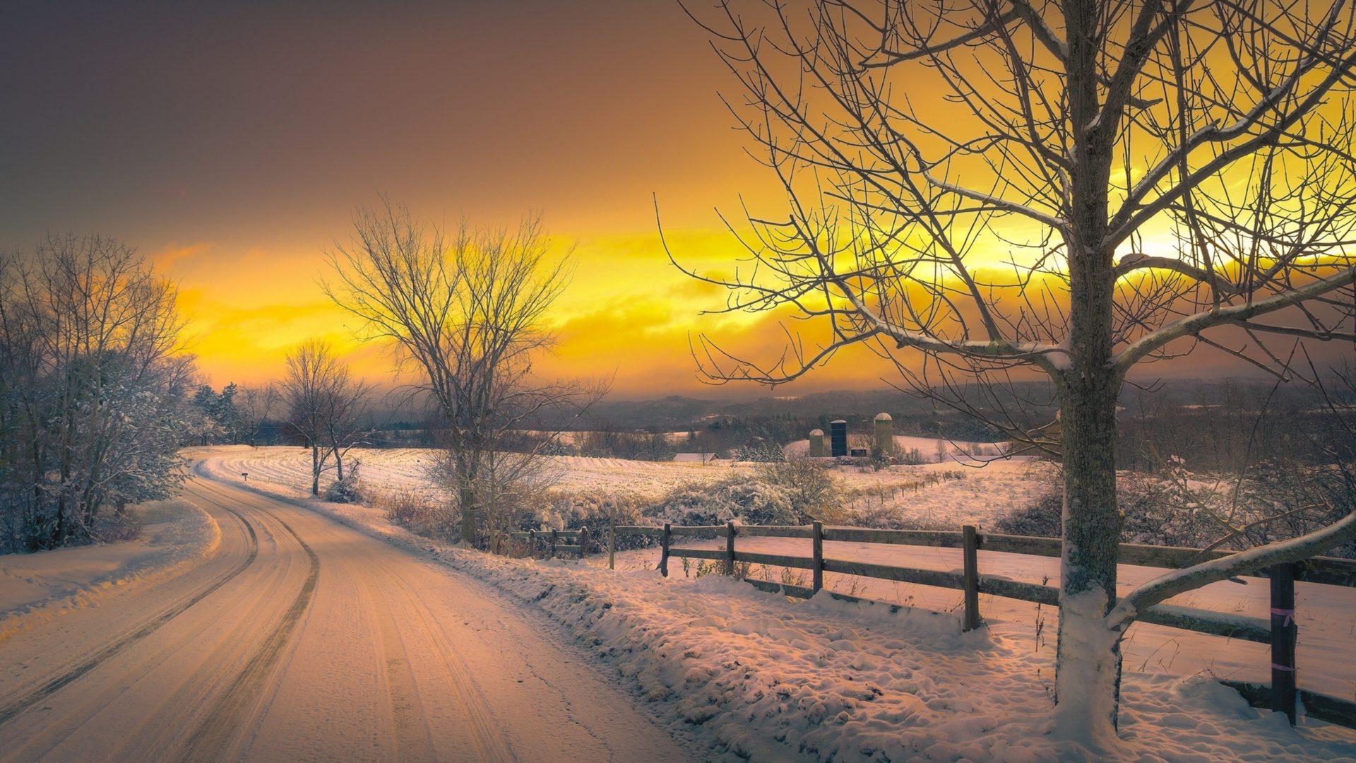 Winter Roads Snow Trees Nature